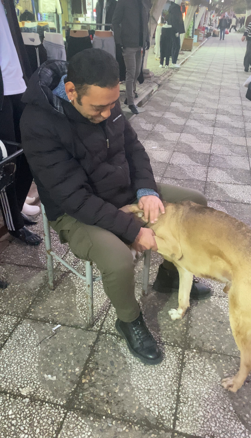 Egitimci Celik Ile Cakirin Dostlugu Goren Bir Daha Bakiyor 625551 104Dc2D502C01Fda0087Ba70Da580253