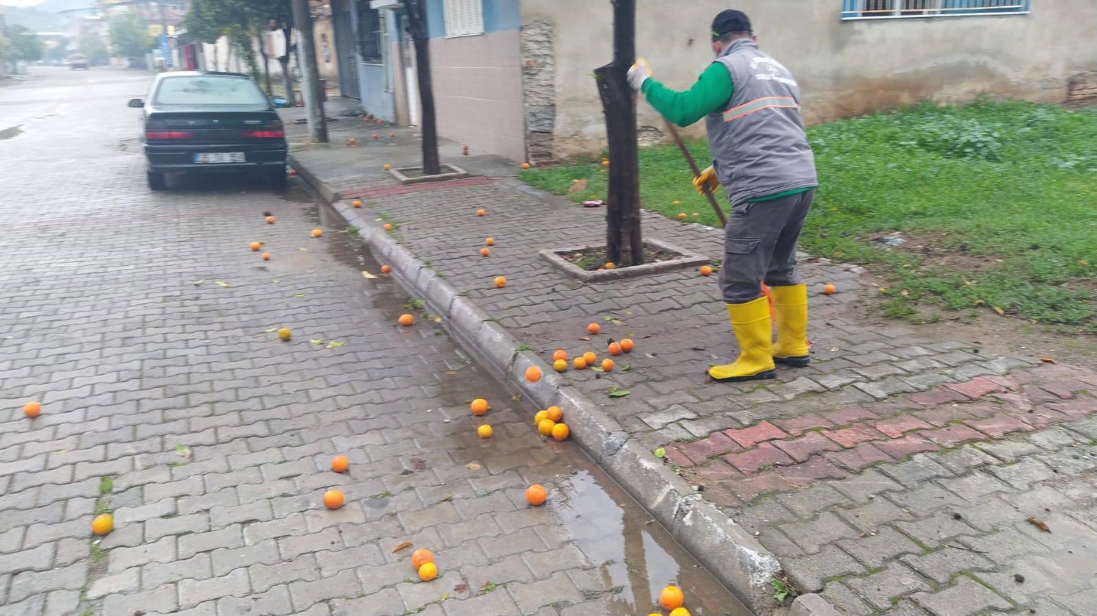 Germencikte Yagis Sonrasi Ekipler Teyakkuzda 6B2780Ca9876Ff1Bf054B394E5E92C8B