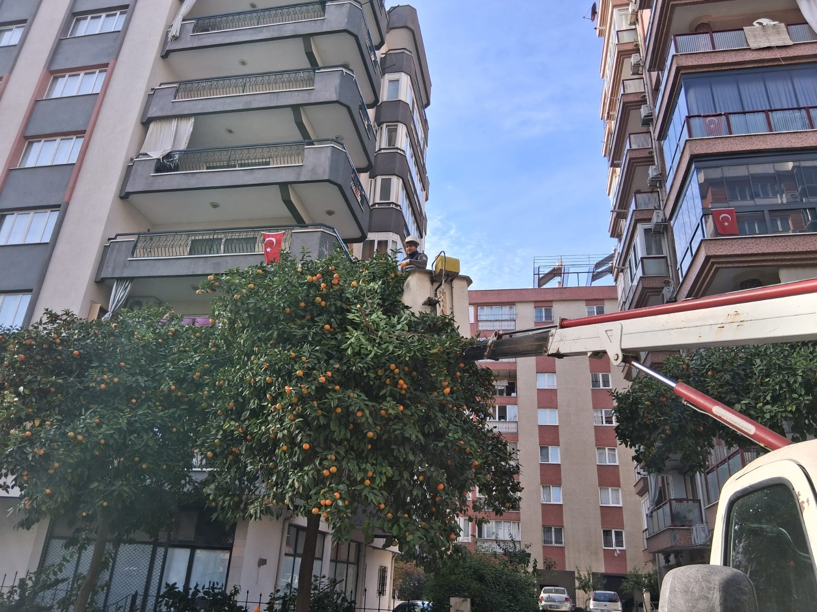 I M G 20251206 W A0031