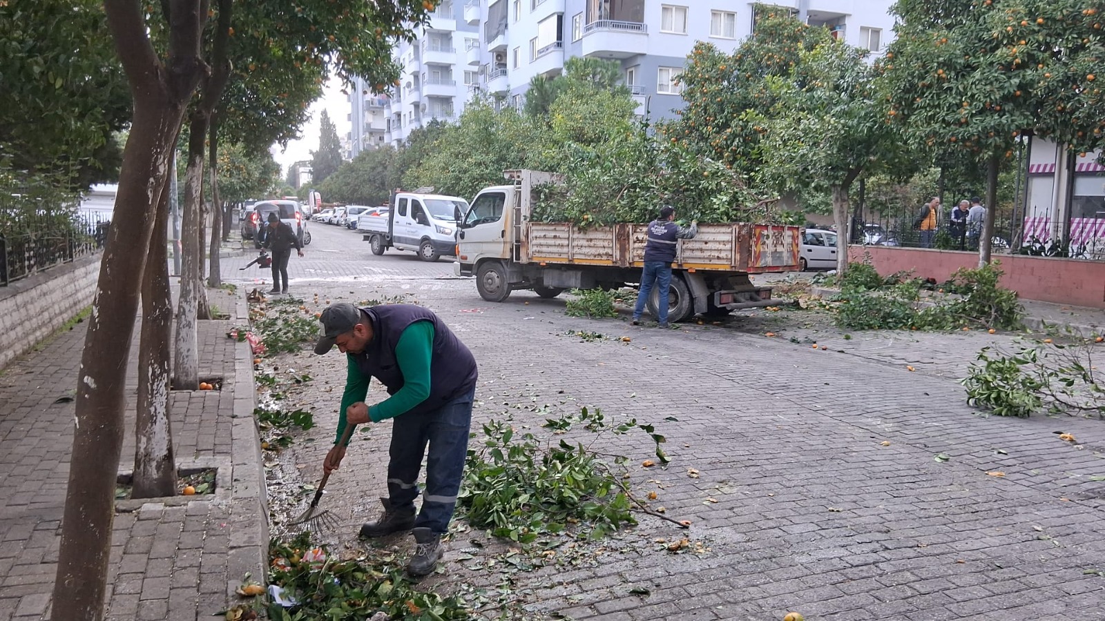 I M G 20251206 W A0037