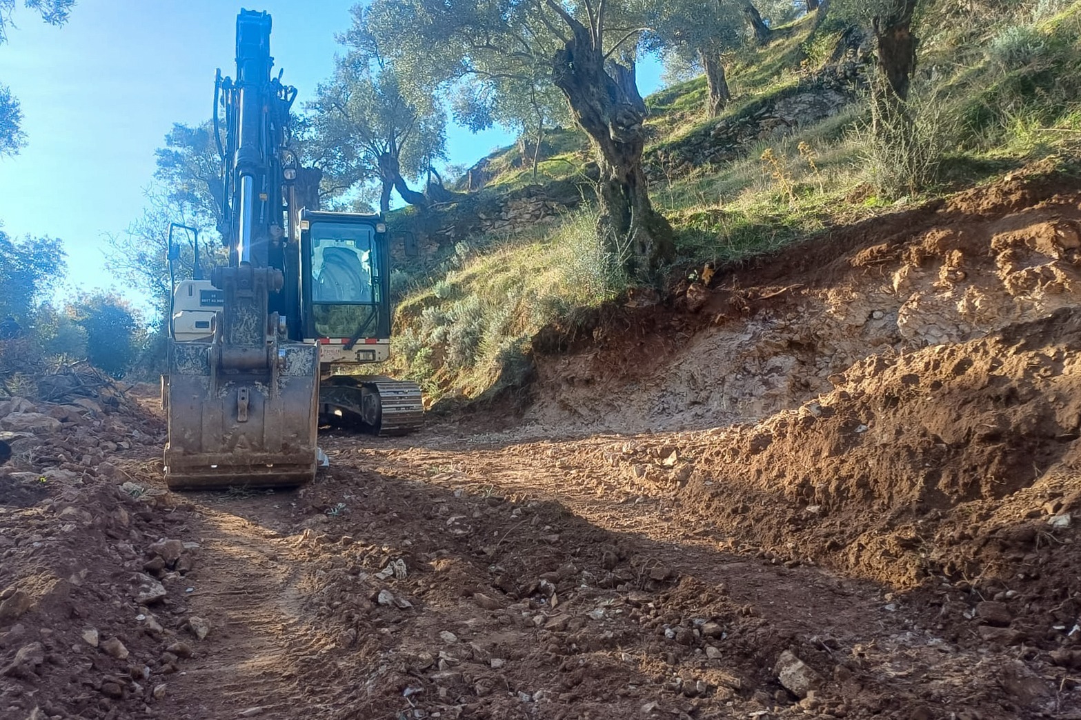 I M G 20251216 W A0041