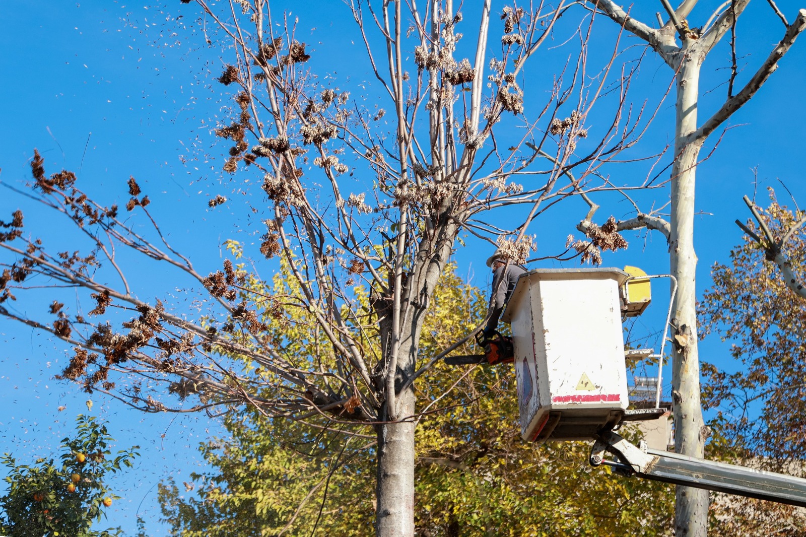 I M G 20251217 W A0015