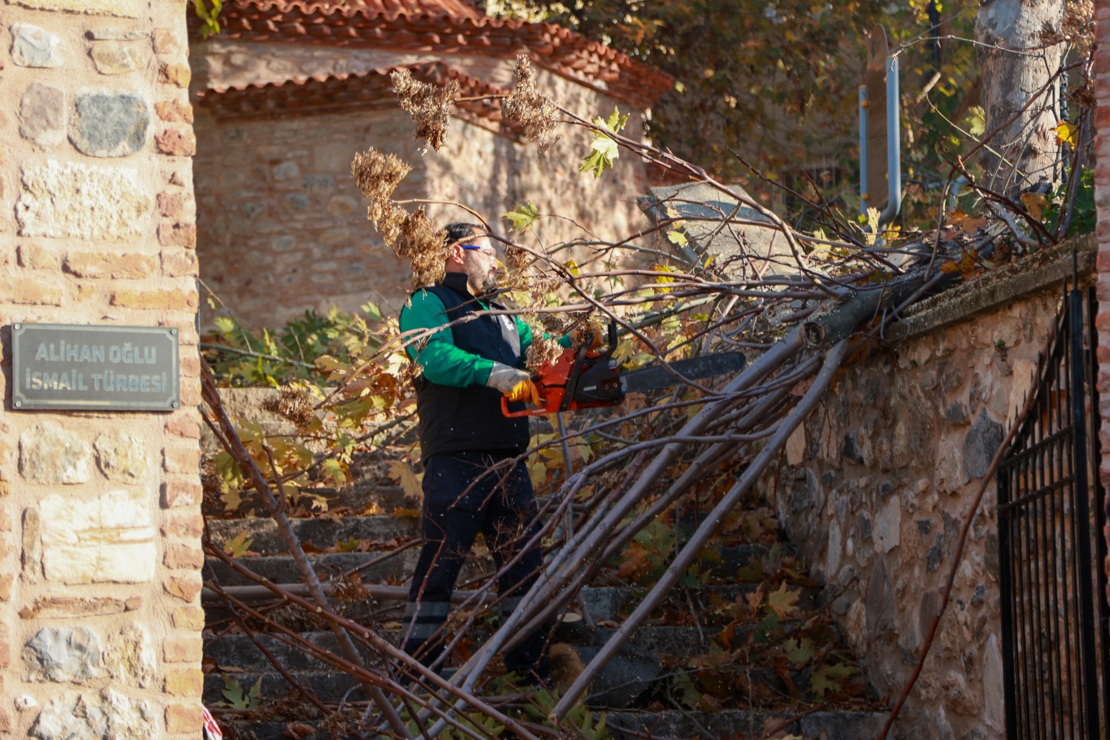 I M G 20251217 W A0016