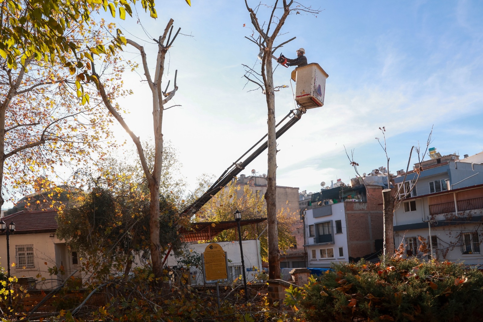 I M G 20251217 W A0017