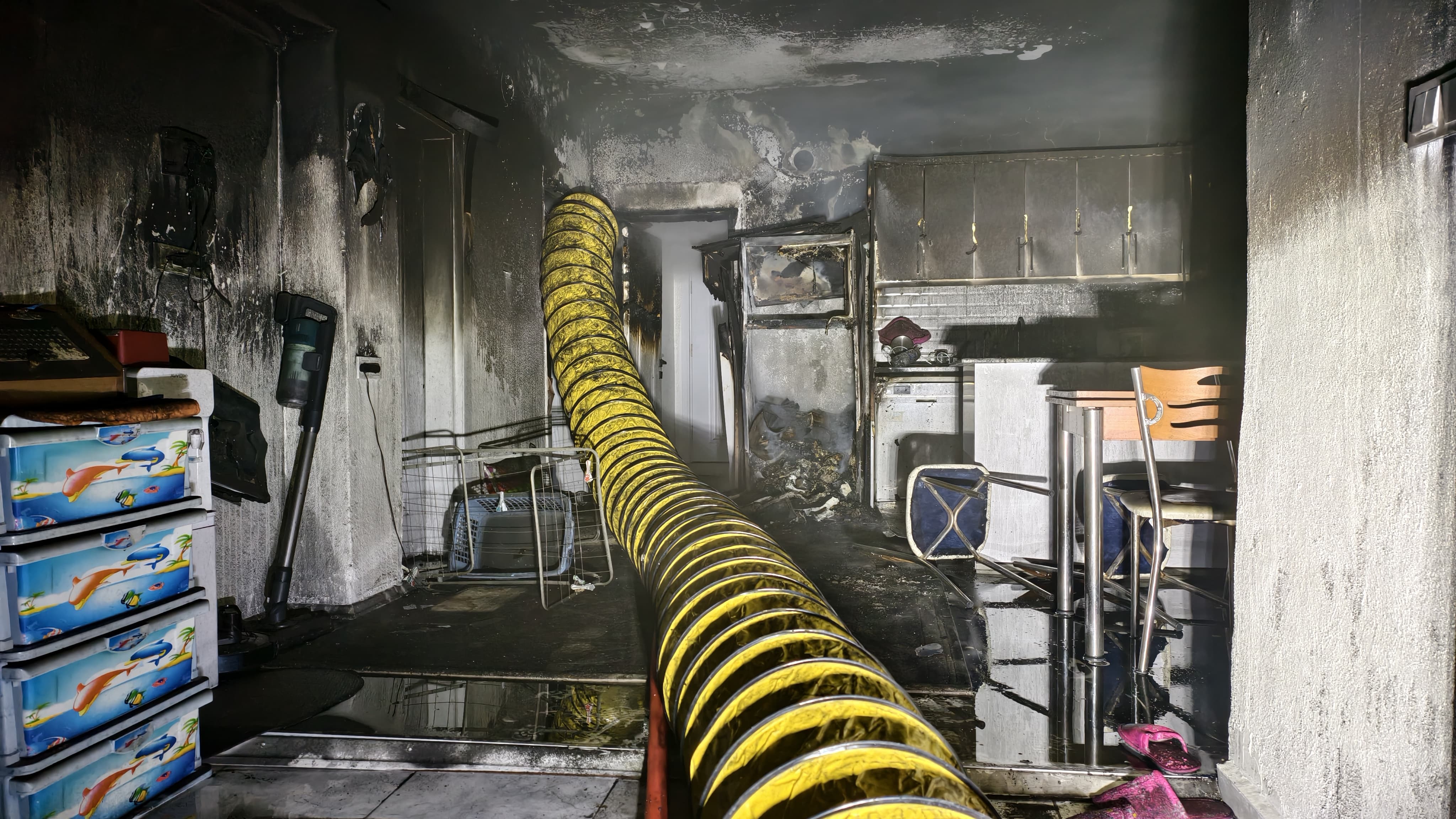 I M G 20251230 W A0063