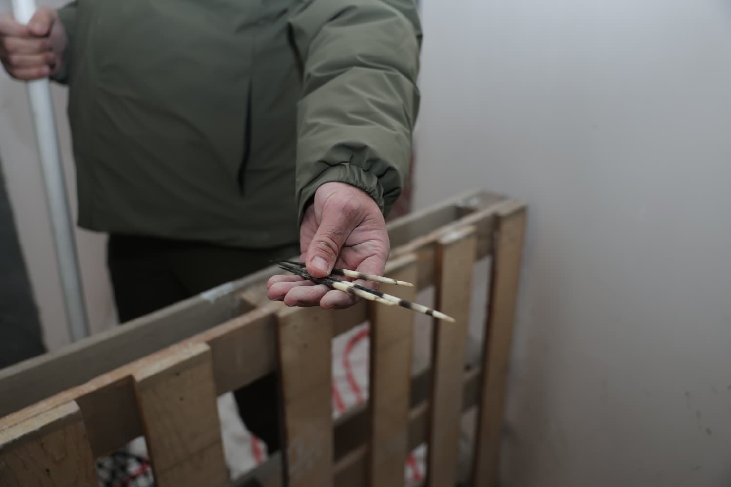 Incirliovada Nesli Tehlikedeki Kirpiye Hayat 619505 04F4E8D5A4908A5112067A918619F2F6