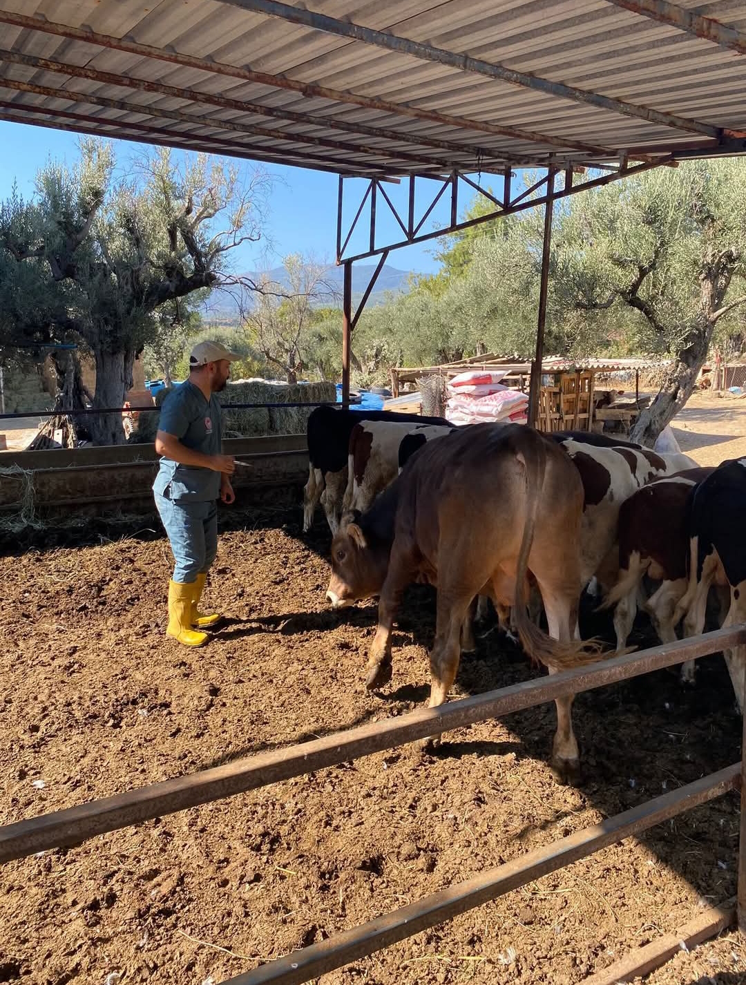 Karacasuda Bu Kurallara Uymayanlara 105 Bin Lira Ceza Kesilecek 618380 3964489A1Ffeb4E4C30764Ca7F193D6D