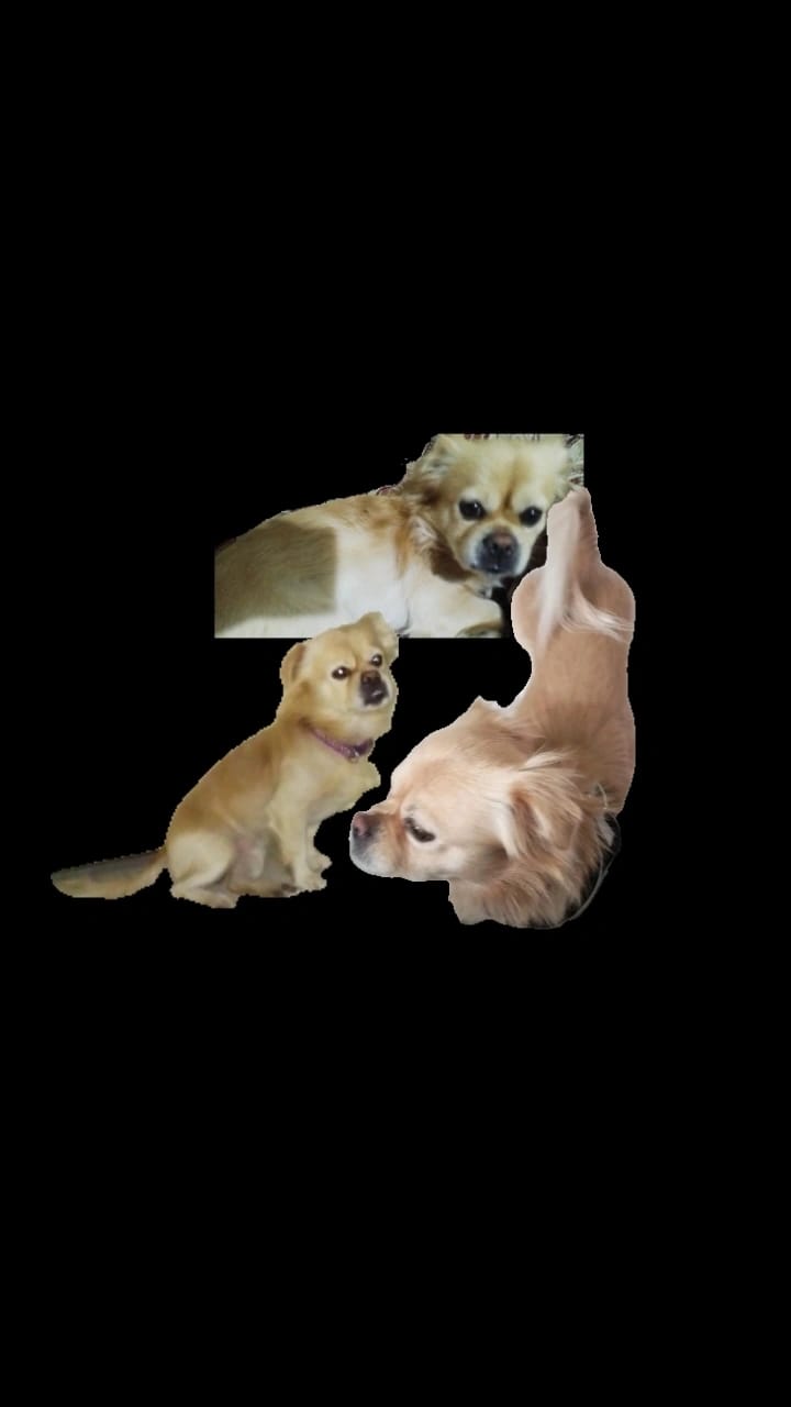 Karacasuda Rifki Araniyor 625626 8289Feccc7E84636513Cf40863Bb26Eb