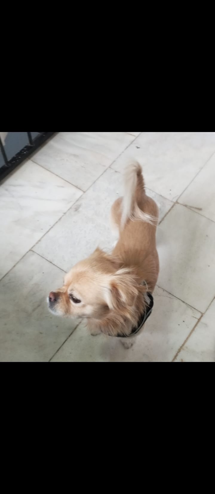 Karacasuda Rifki Araniyor 625626 F49748728A282A8015E3D00461C2879B