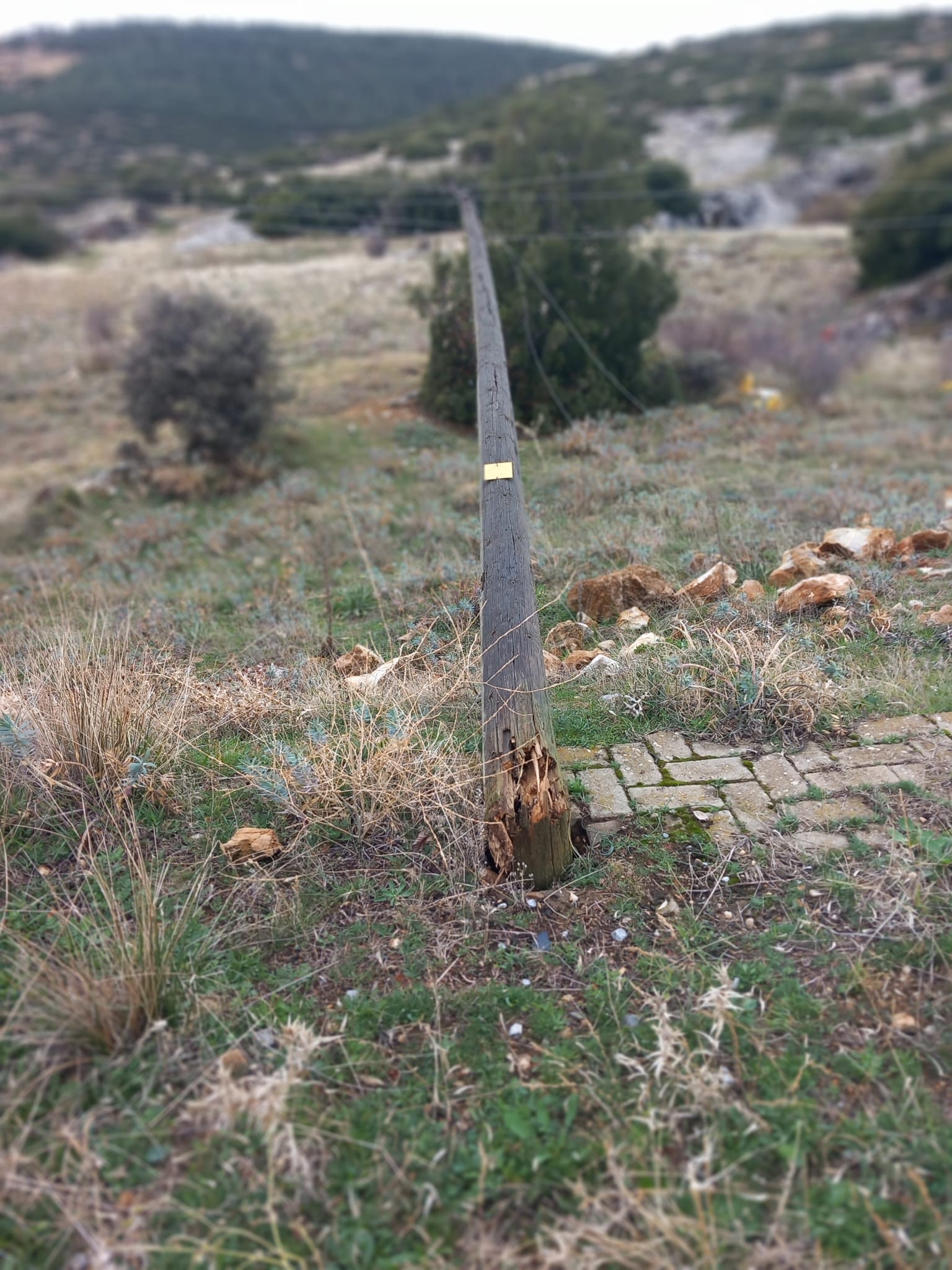 Karacasulu Muhtar Aydeme Isyan Etti Bu Ahsap Direkler Bu Caga Yakismiyor 619707 861854996Febe9Cc936285D89272Bef6