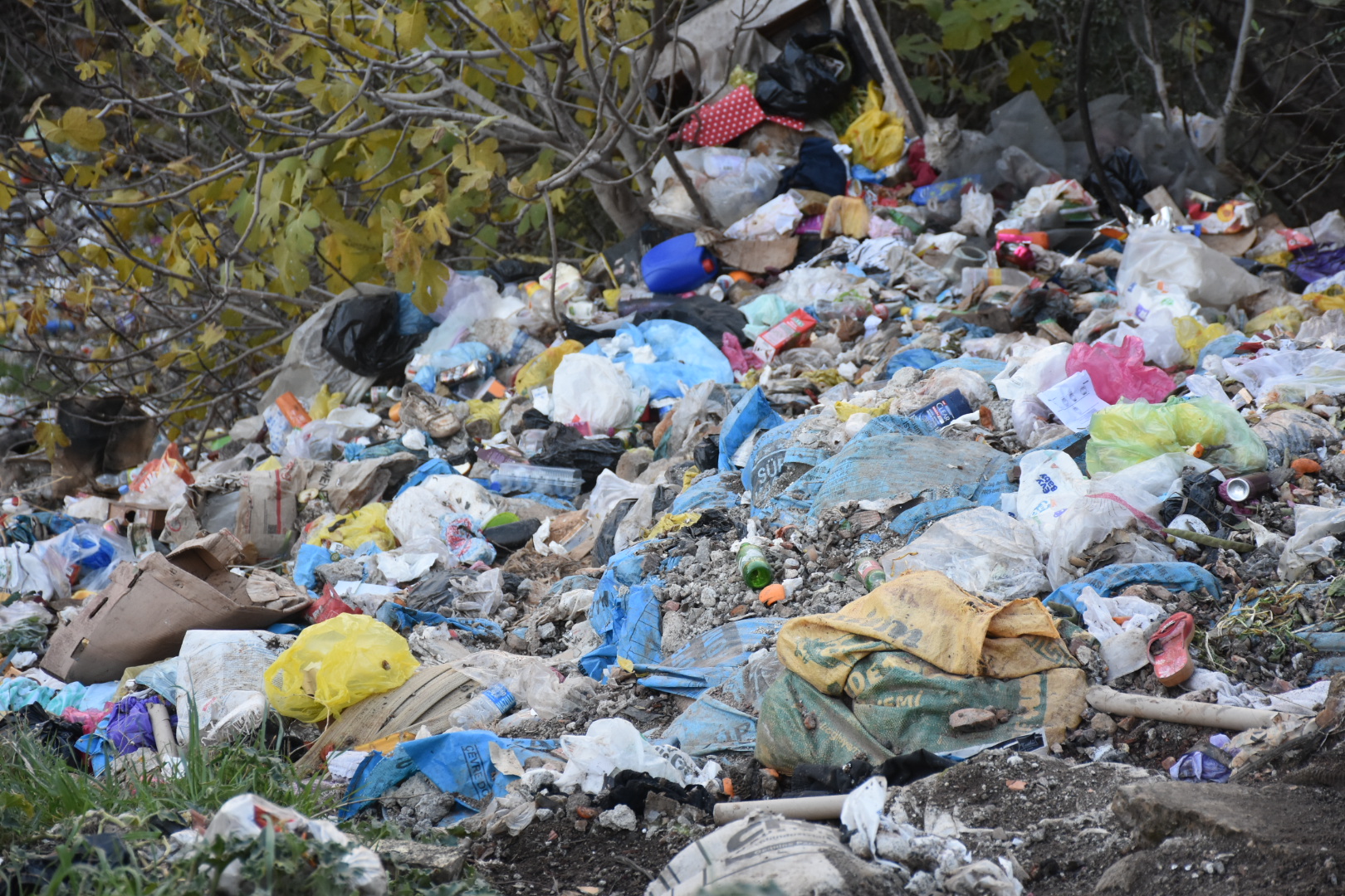 Karacasuya Yakismayan Goruntuler Belediyenin Tabelasi Da Ise Yaramadi 624557 3Fd17Ca55158B69B5Bf8B5Fee52E6Cbd