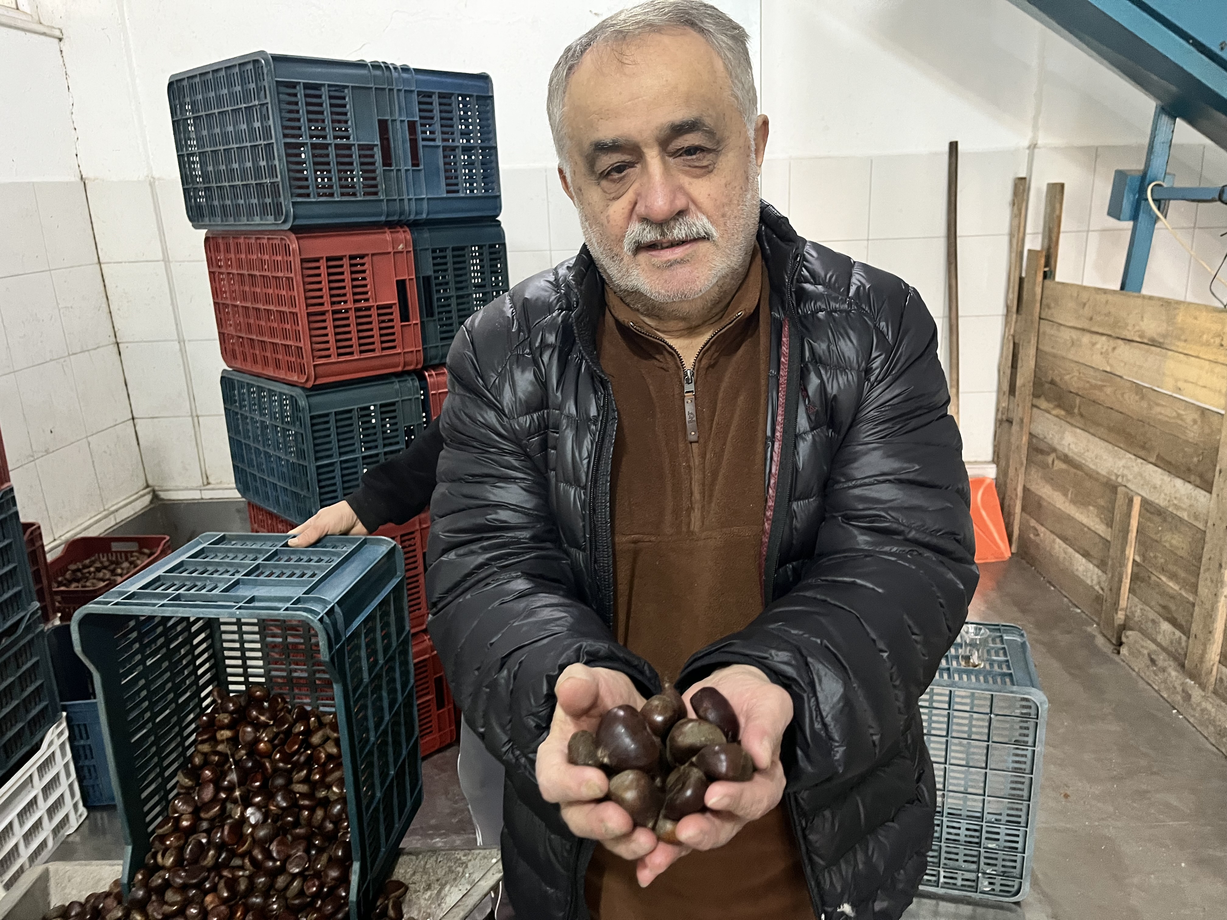 Kestane Gecen Seneye Gore Daha Fazla Goruldu Nazillide Yuzler Guluyor 620737 04Cdc35B0D4Ff1C1A972B19915634283