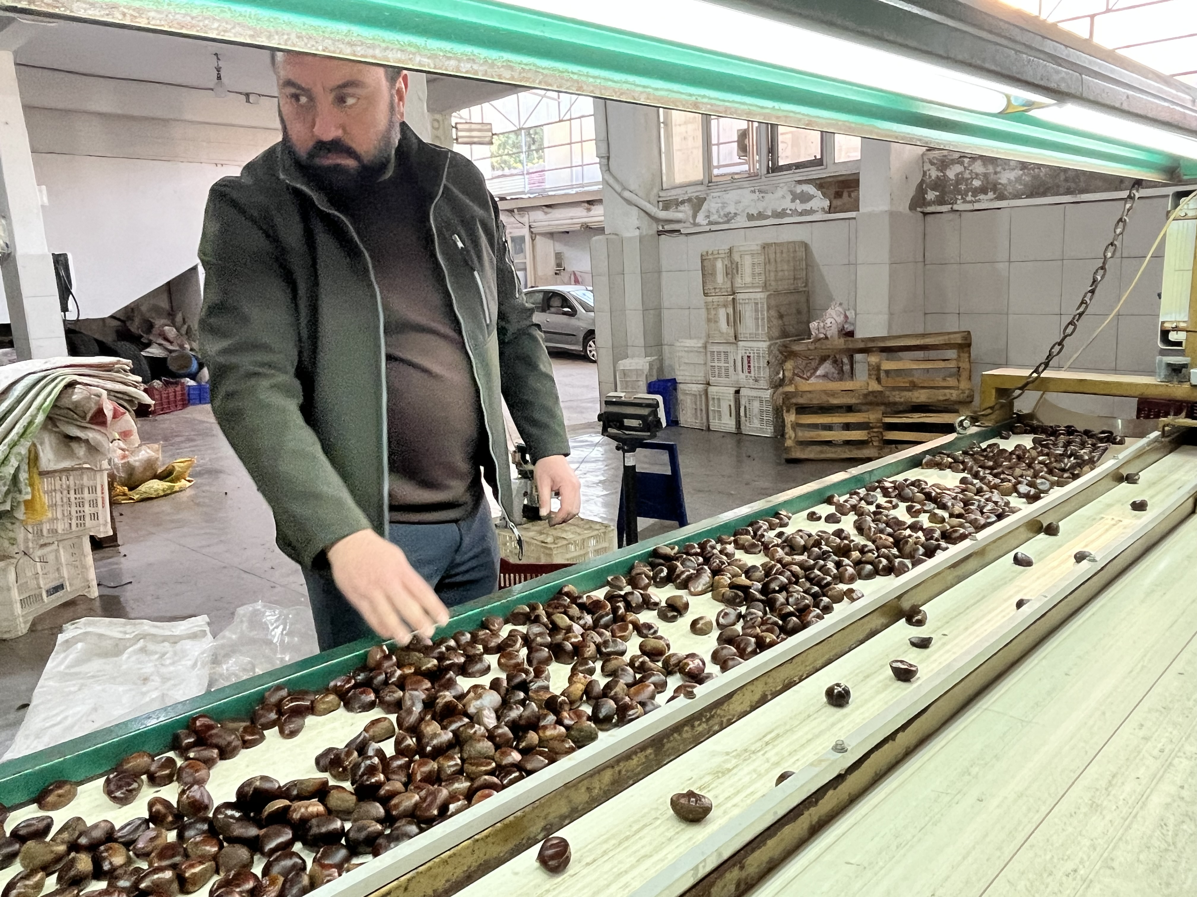 Kestane Gecen Seneye Gore Daha Fazla Goruldu Nazillide Yuzler Guluyor 620737 5959312249D2285B3778F2Bcbc67806E