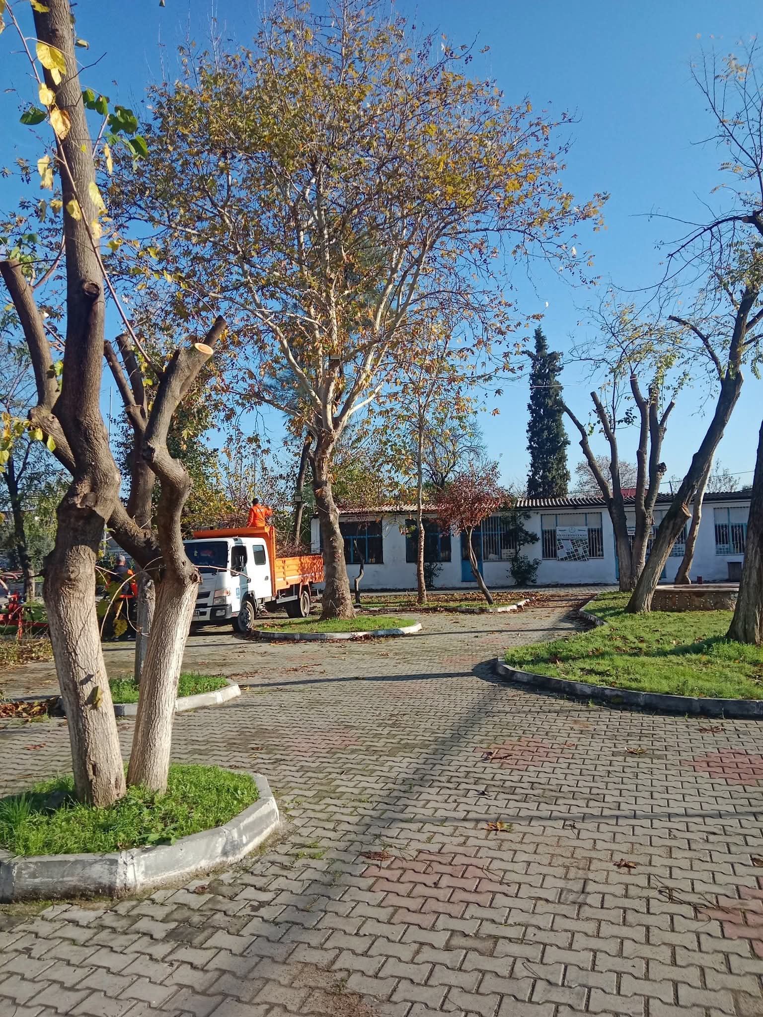 Kirazli Mahallesinden Baskan Gunele Tesekkur 621426 E9E2F1F520Ada764649Dba2E39Fdd755