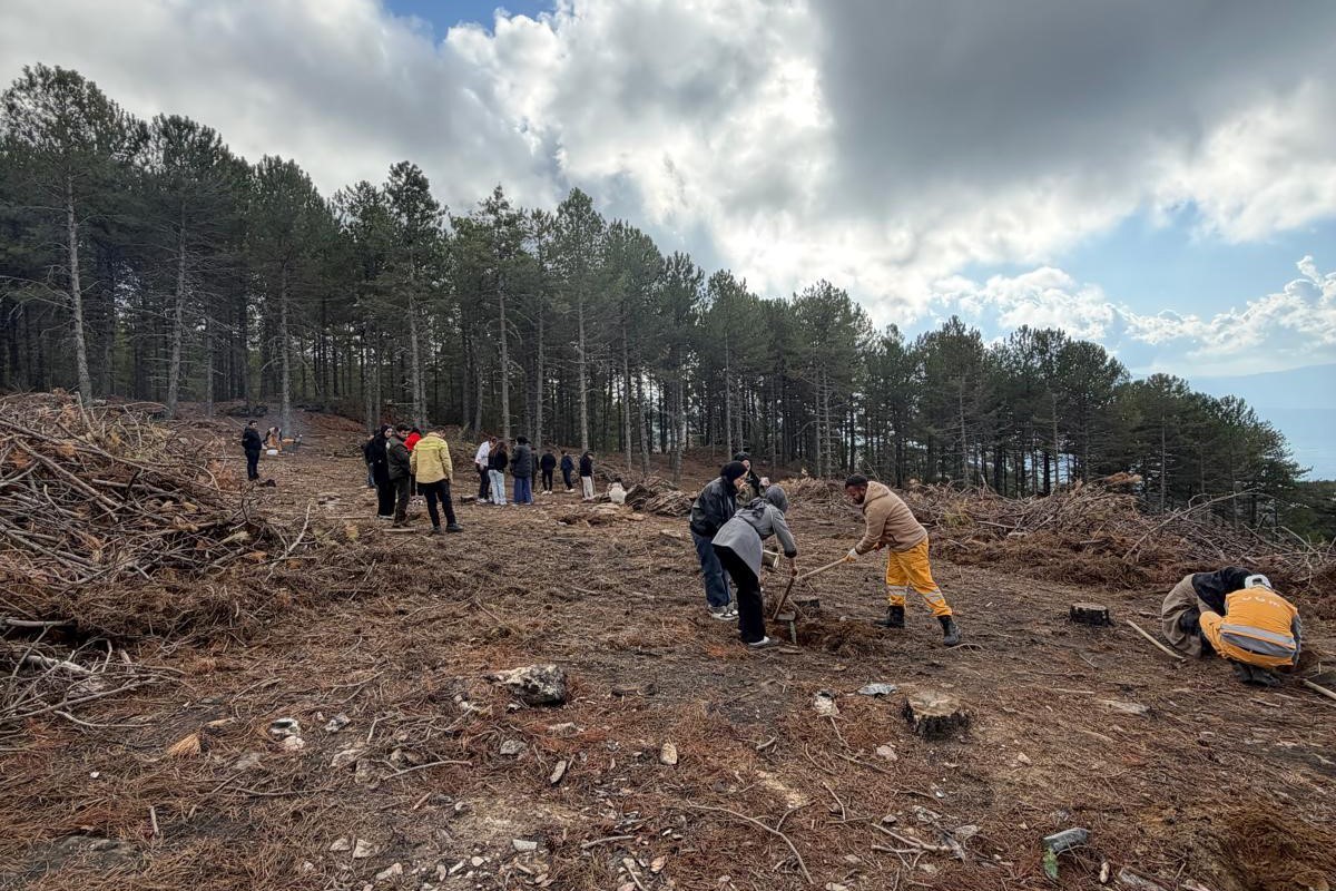 Kirsehirden Gelen Universite Ogrencileri Cinede Fidan Dikti 66210Debbb9D20Eb15E17D9F43C916Ed