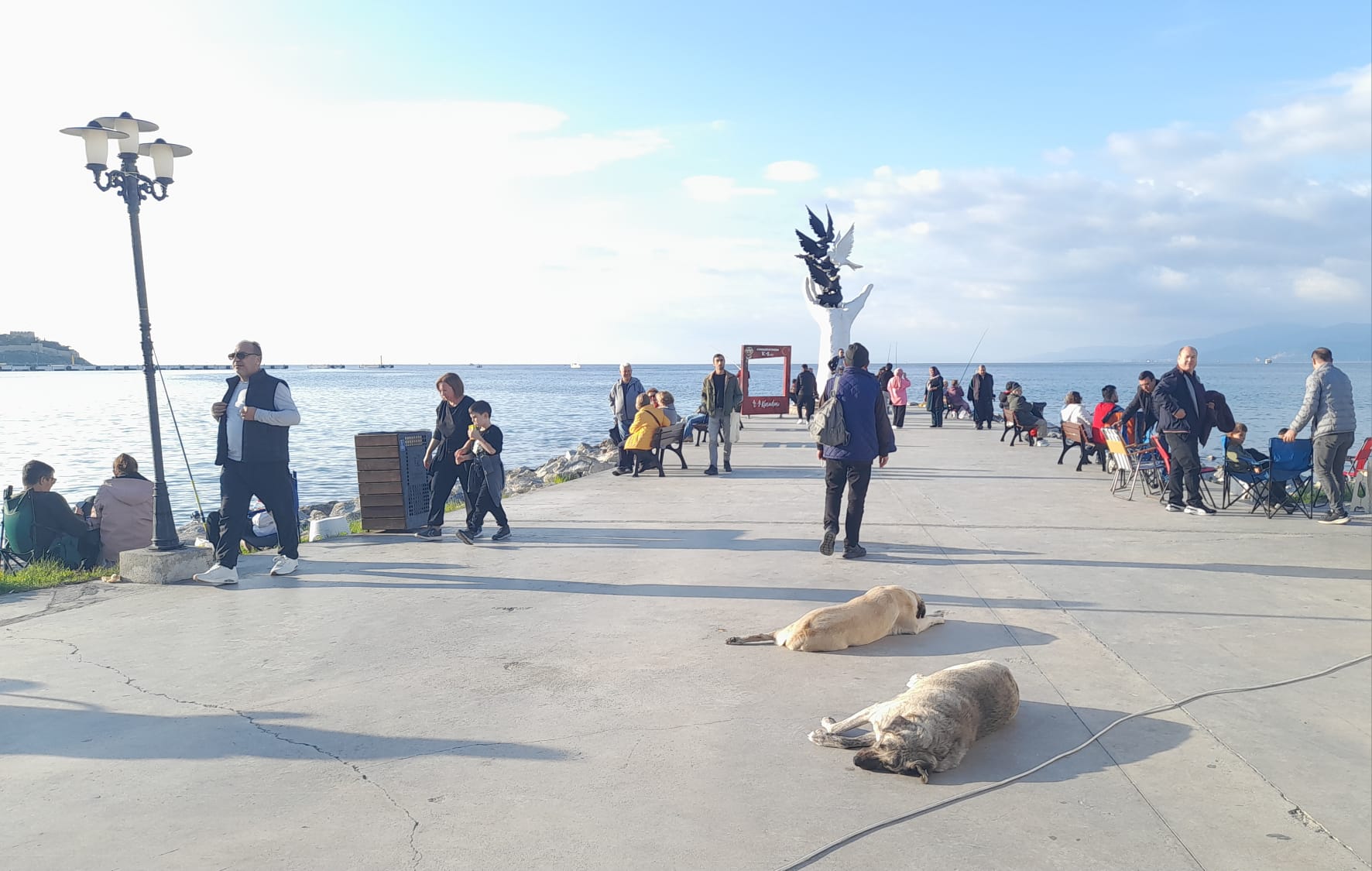 Kis Gelmeyen Kent Kusadasinda Ikinci Yaz Suprizi Yasandi 619973 C2859C422B04E5A49A090332430F5105