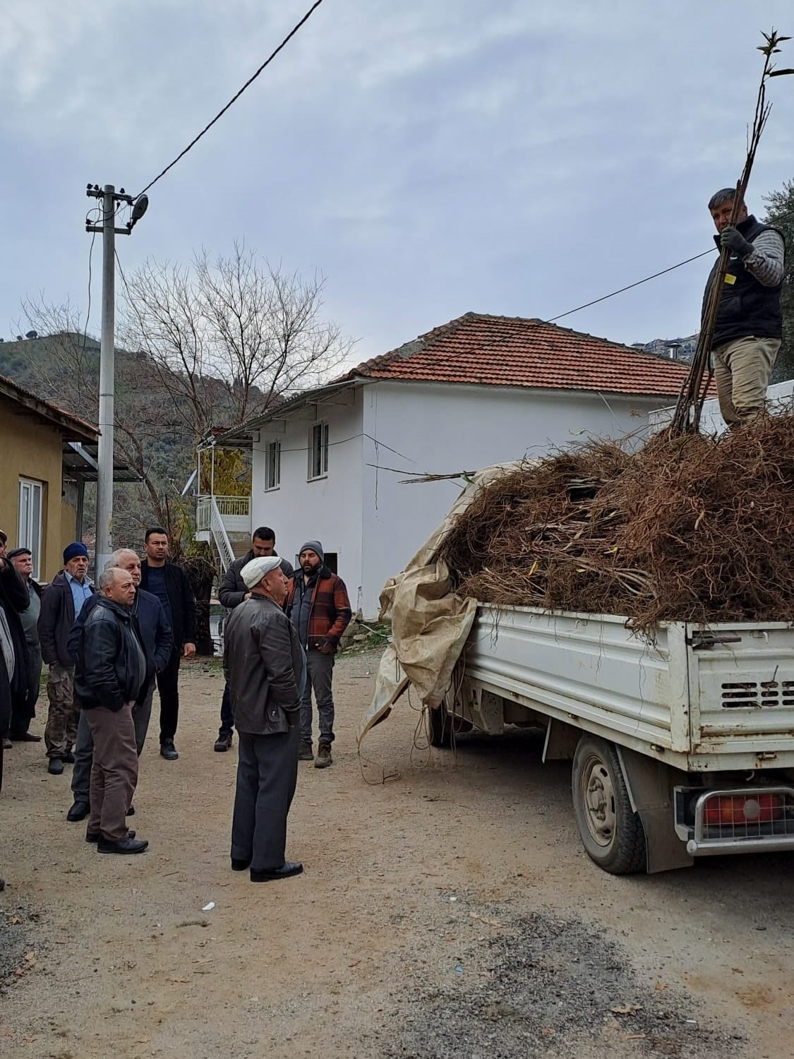 Koskte Koklu Kestane Fidanlari Ureticilere Dagitildi 00B09Eeb12Bacd2D2Aa09Ee913C73425