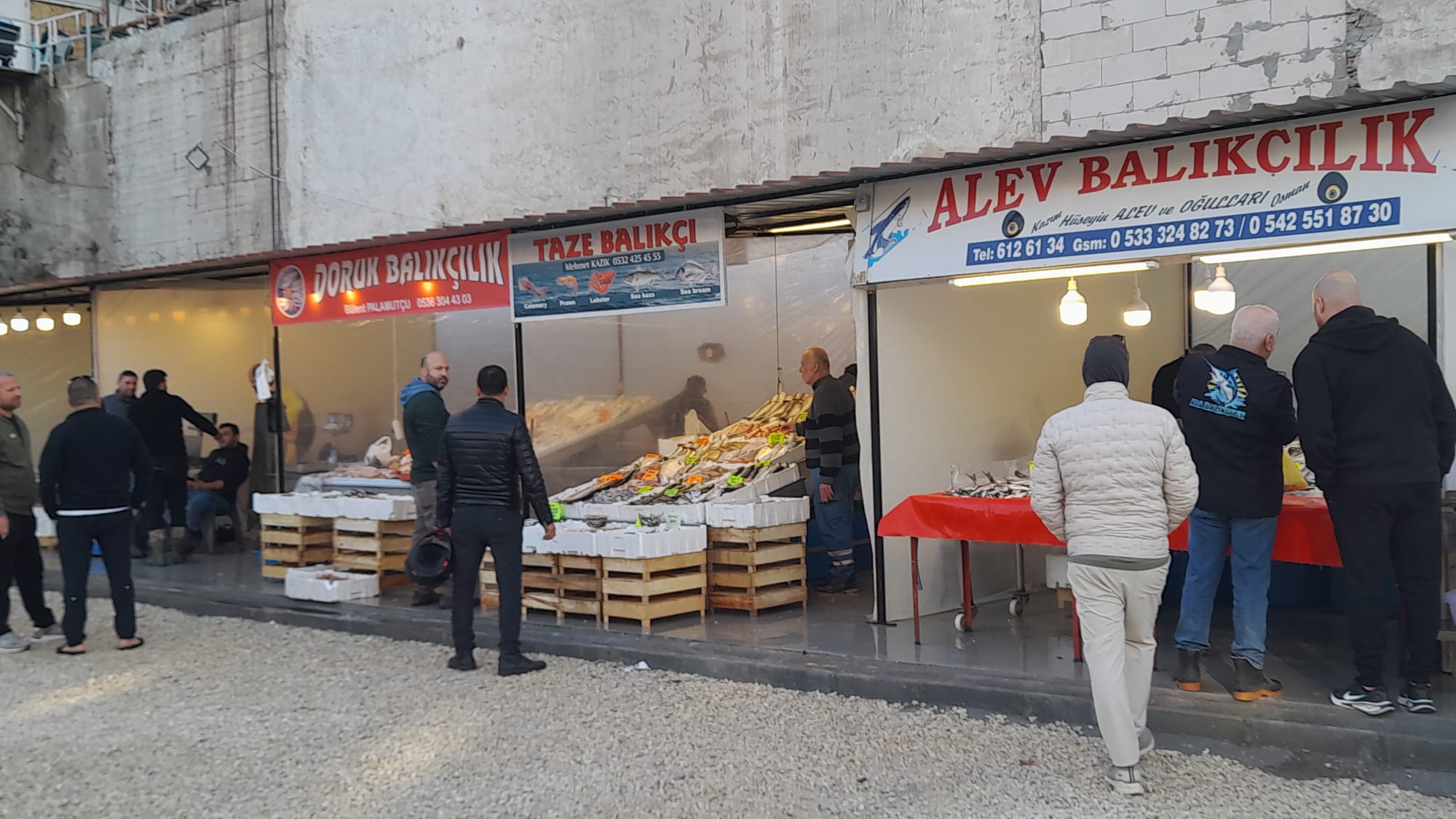 Kusadasi Balik Hali Gecici Yerinde Hizmete Basladi 619981 58Fcced33Fde3Eb9Bc581255Ae39F249