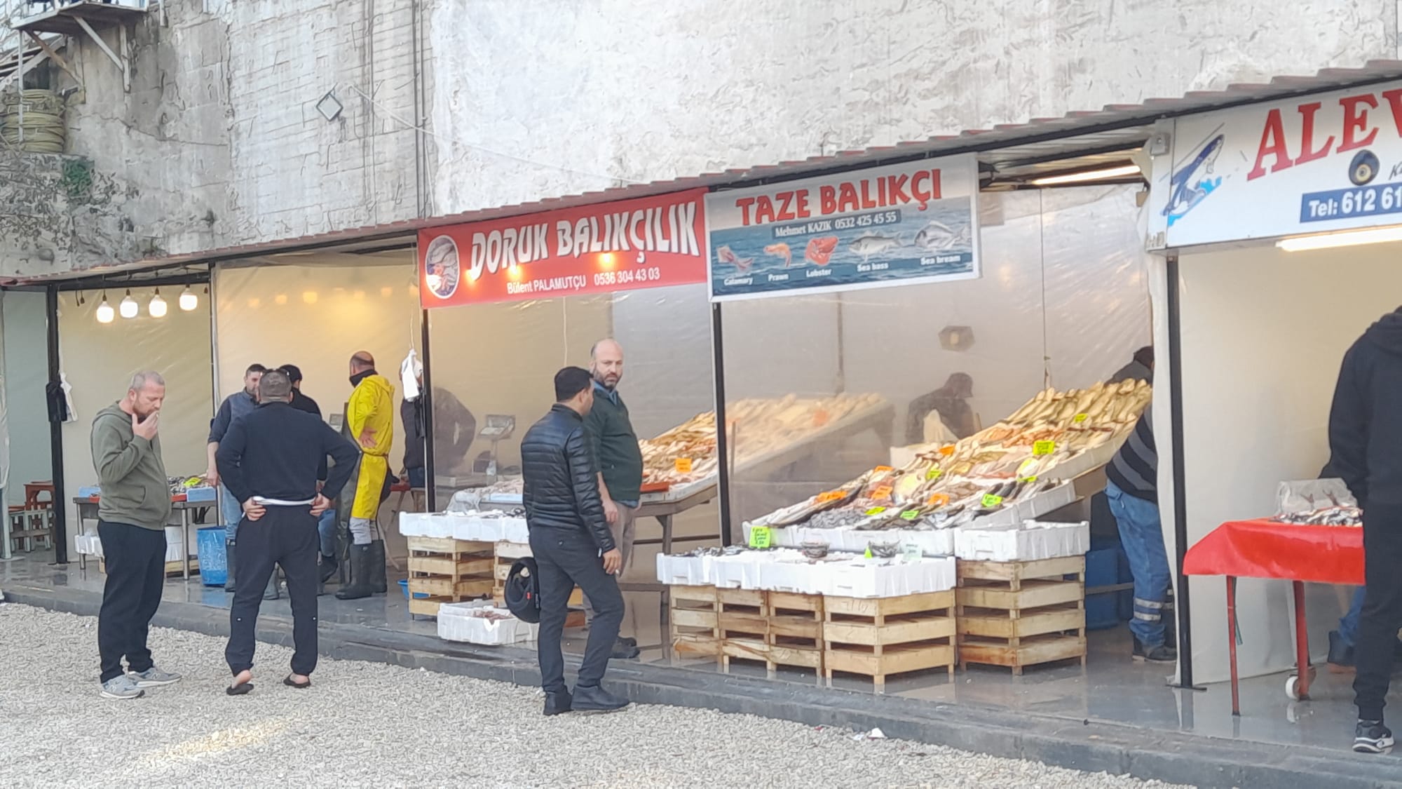 Kusadasi Balik Hali Gecici Yerinde Hizmete Basladi 619981 A61F881Bb5522F44A97515212278F24F