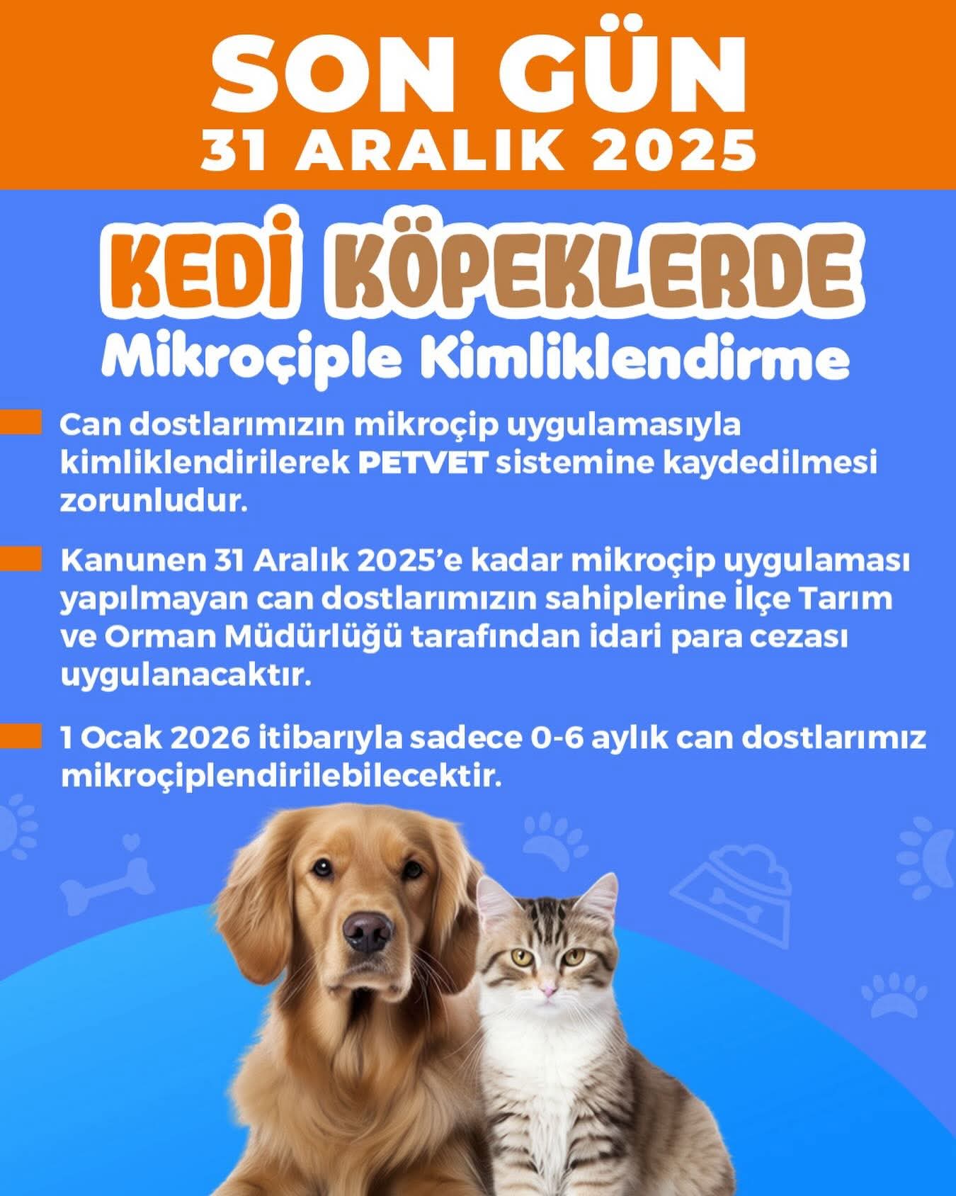 Kusadasi Belediyesinden Aciklama Can Dostlar Icin Son Gun 31 Aralik 619417 A99873Cd2Dbe8975Fac4F8925364962E