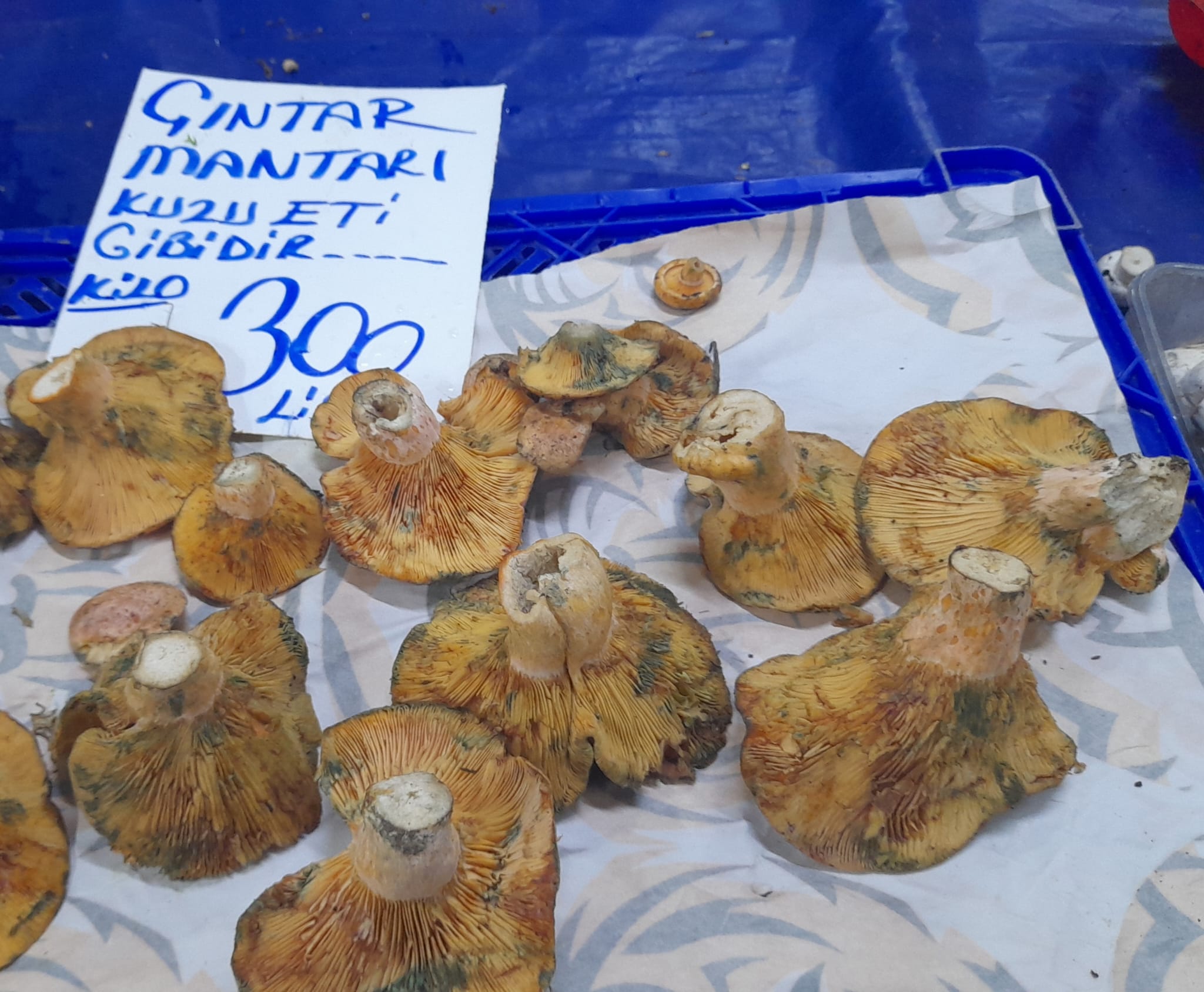 Kusadasi Semt Pazarinda Kis Tezgahlari Sevindirdi 618550 4Ee29366Eb53788Ca44A393E9E5Ccfe4