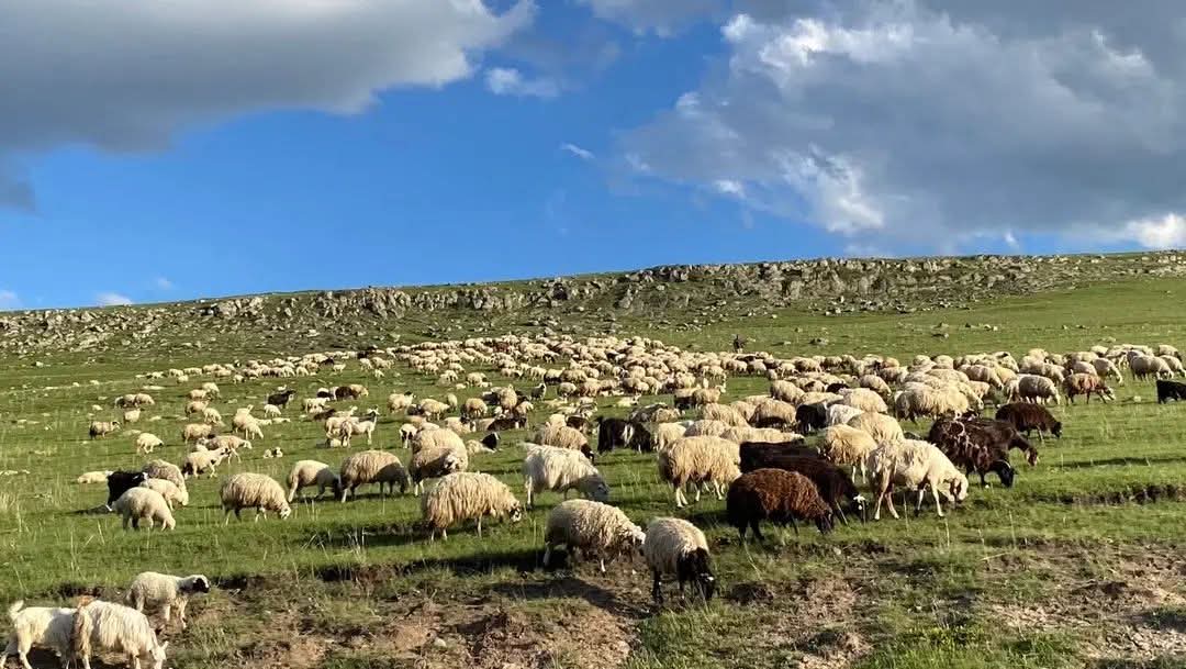 Kusadasinda Karantina Uygulamasi Basladi 619220 9430Ae52C1Ac4B5F658E7D8C455689Ad