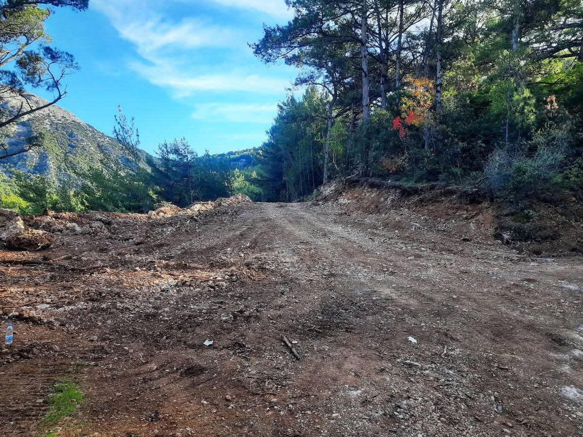 Milli Parkta Acilacak Yangin Yolu Kusadasinda Tartisma Yaratti 619916 4763B3E177415540328Adcdde9Dedaa9