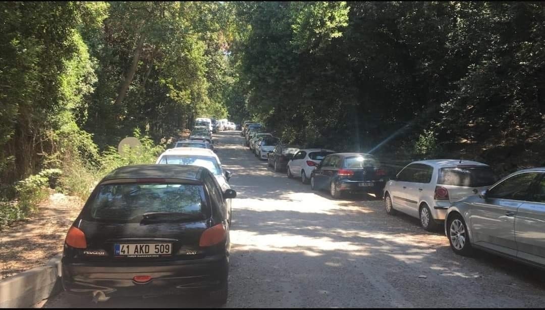 Milli Parkta Acilacak Yangin Yolu Kusadasinda Tartisma Yaratti 619916 C660Ab7F464E3Ca0507872E7F4104068