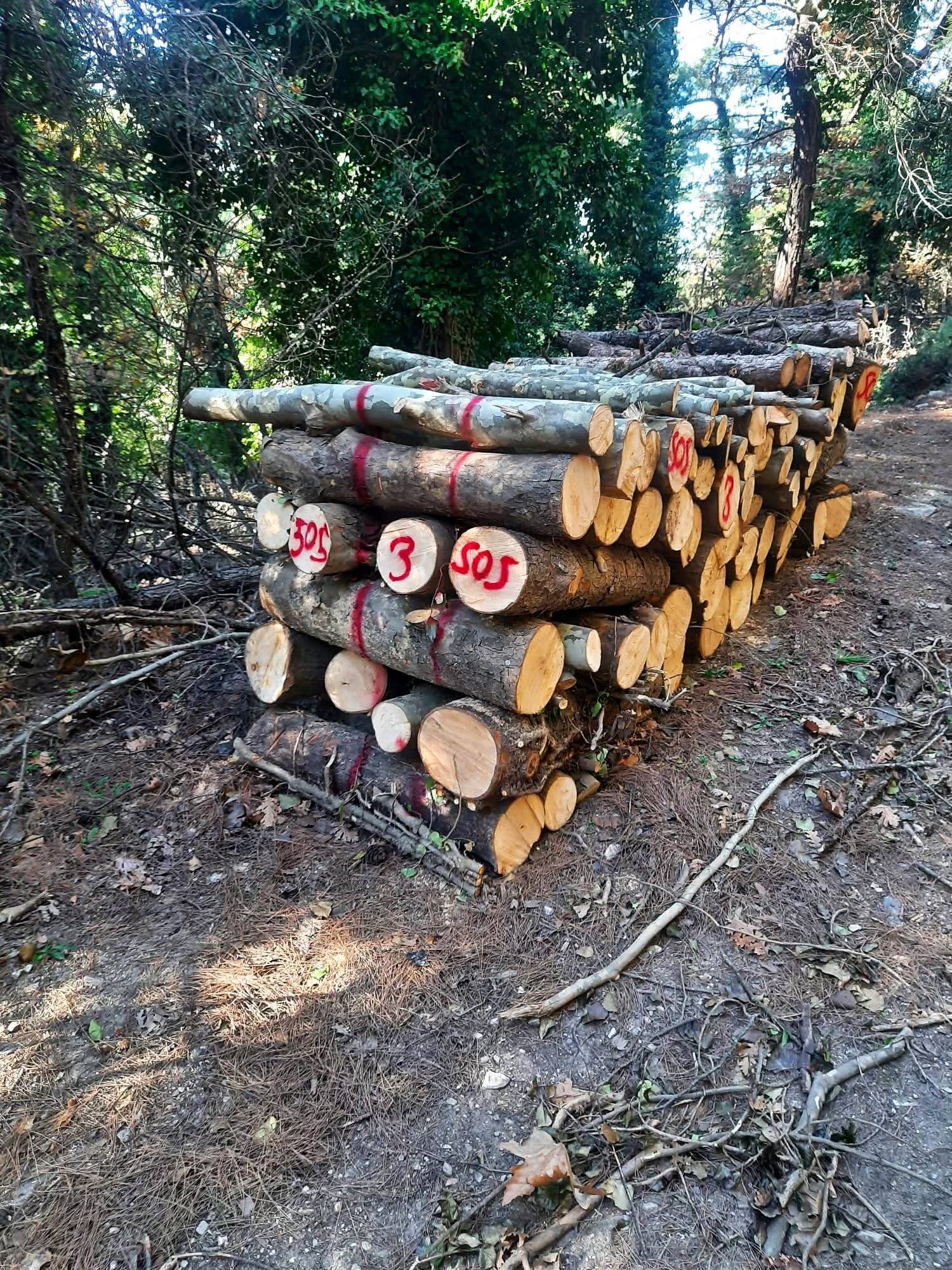 Milli Parkta Acilacak Yangin Yolu Kusadasinda Tartisma Yaratti 619916 Fd922Efd55528A33E61659D18F871352