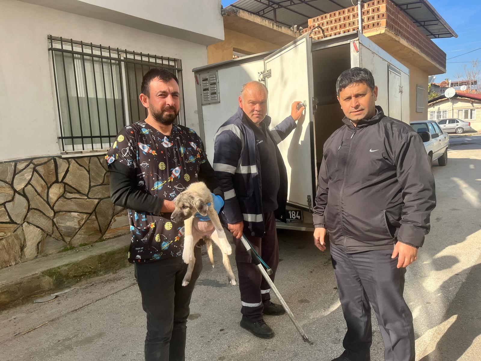 Muhtarin Duyarliligi Bir Cani Kurtardi Nazillide Kopek Kurtarma Operasyonu 623343 4Ec5A387B243Ba9F33A97F7Ee1915666