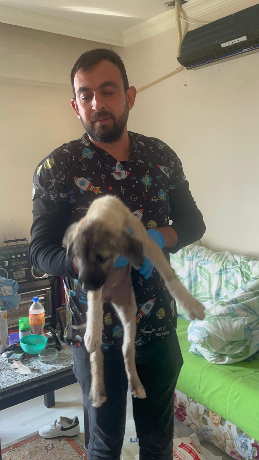 Muhtarin Duyarliligi Bir Cani Kurtardi Nazillide Kopek Kurtarma Operasyonu 623343 50Fc1Cd68539F46Cfde616F3F0395B24