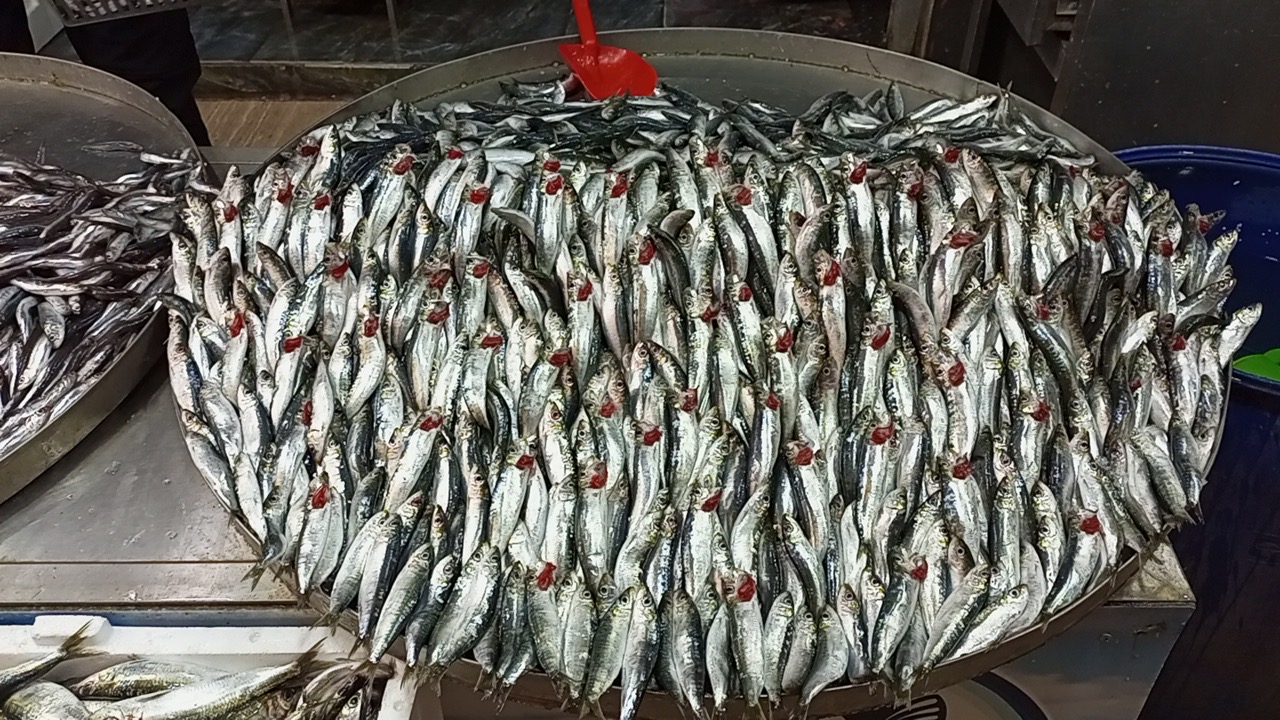 Nazilli Balik Pazarinda Yilbasi Hareketliligi Hamsiye Yogun Talep 623754 9Daf618D59E2D85259Ae7766E037C845