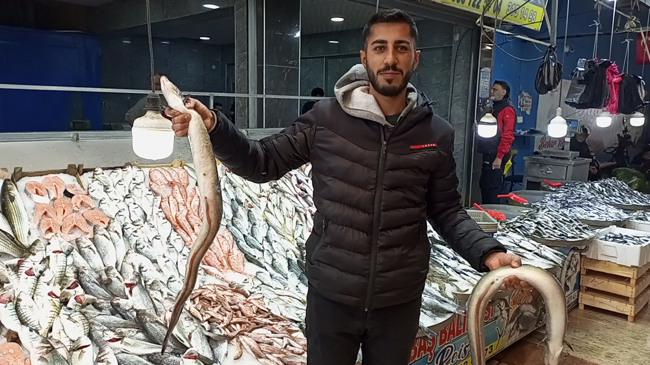 Nazilli Balik Pazarinda Yilbasi Hareketliligi Hamsiye Yogun Talep 623754 F447A04D5Eb779B81A52182Ffc42D34E