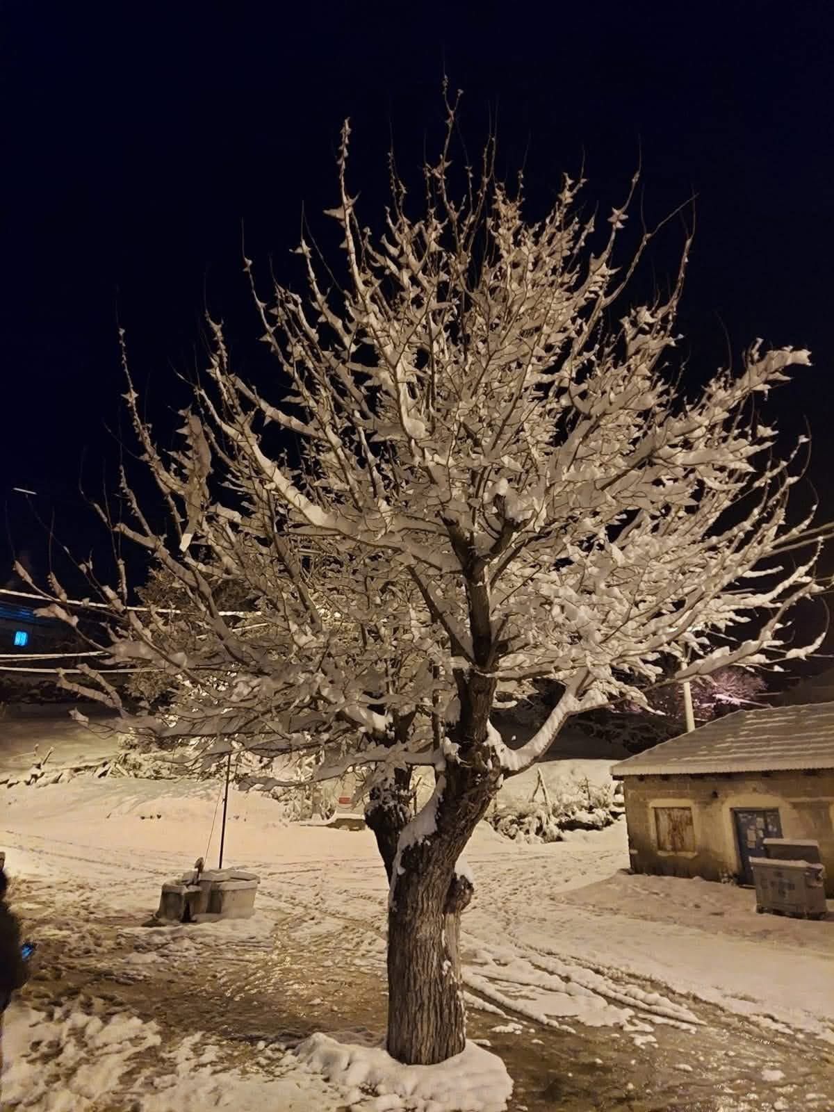 Nazilli Beyaza Burundu 625806 0Bd6A433C5Cfc2665D9D0Fbcd5C2D459