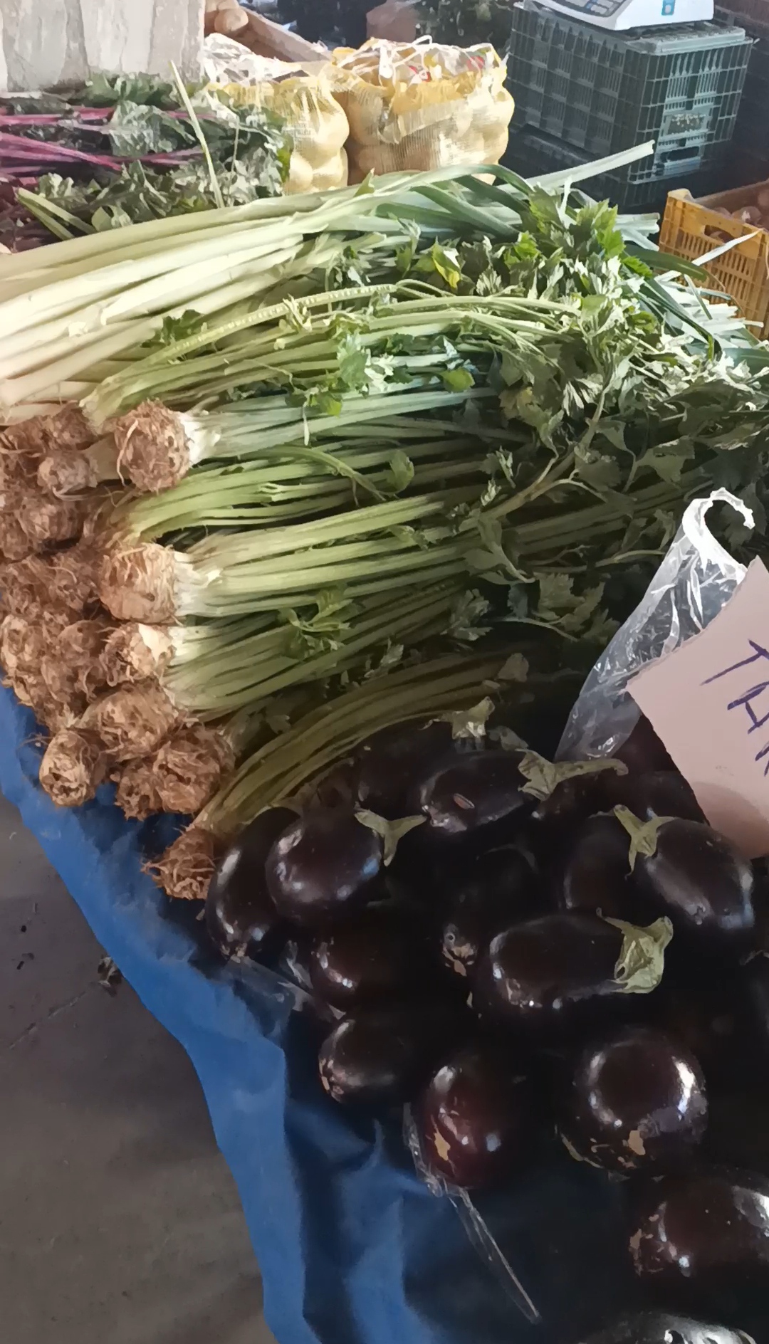 Nazillili Pazarci Maliyetler Yuzunden Uretim Yapmakta Zorlaniyoruz 626473 2152B53B3653069Add68C39D90584262