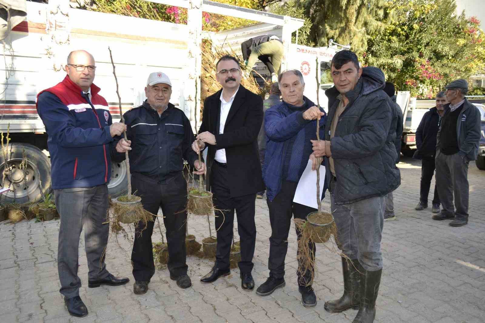 Sultanhisarda Ureticiye Kestane Ve Incir Fidesi Dagitildi 19130E33Ea6C2793722F7E773Fb26A01