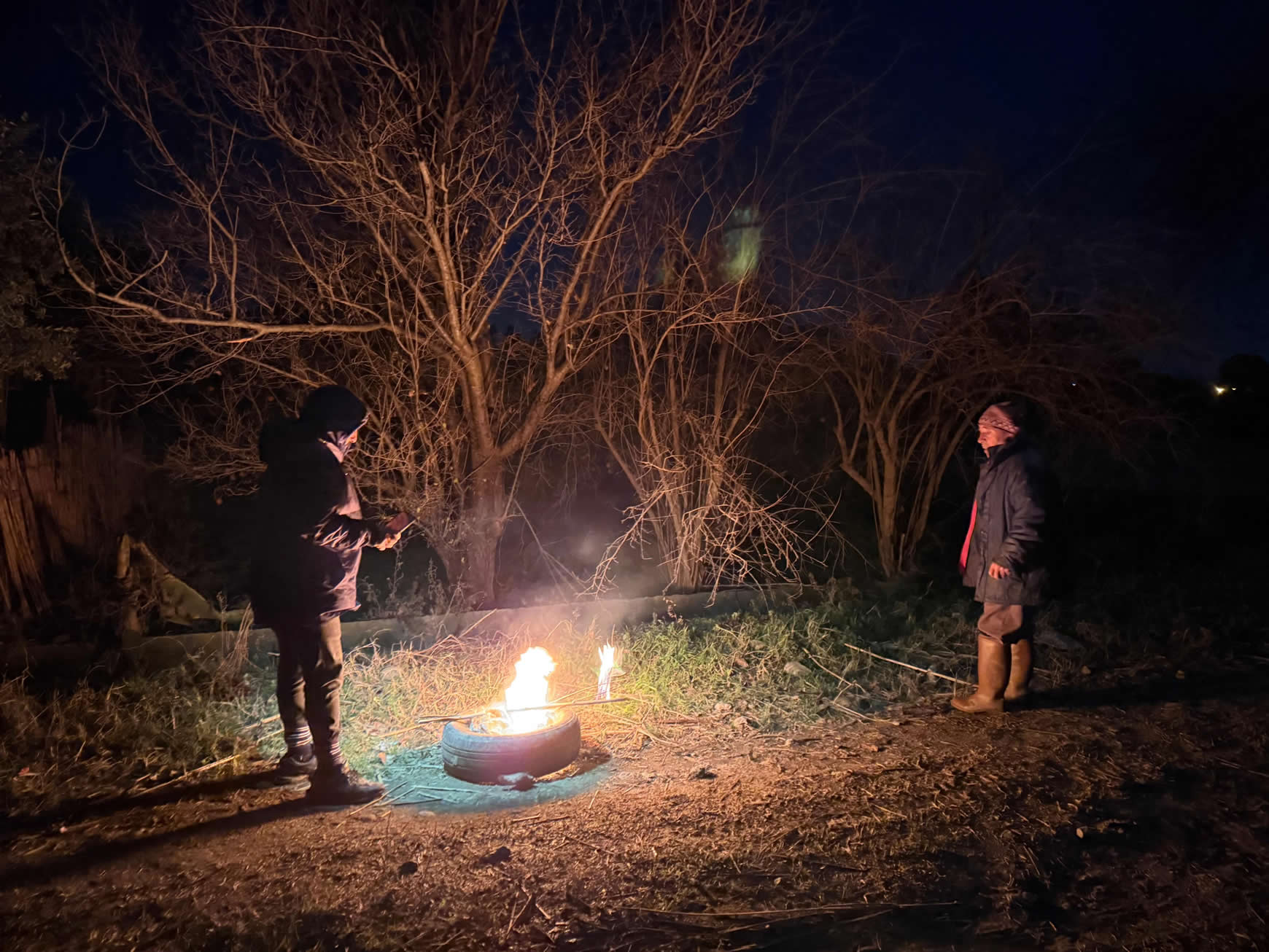 4 Derece Ureticiyi Alarma Gecirdi Nazillide Don Nobeti 627043 02660D00Ffa0B923A79877297459B342