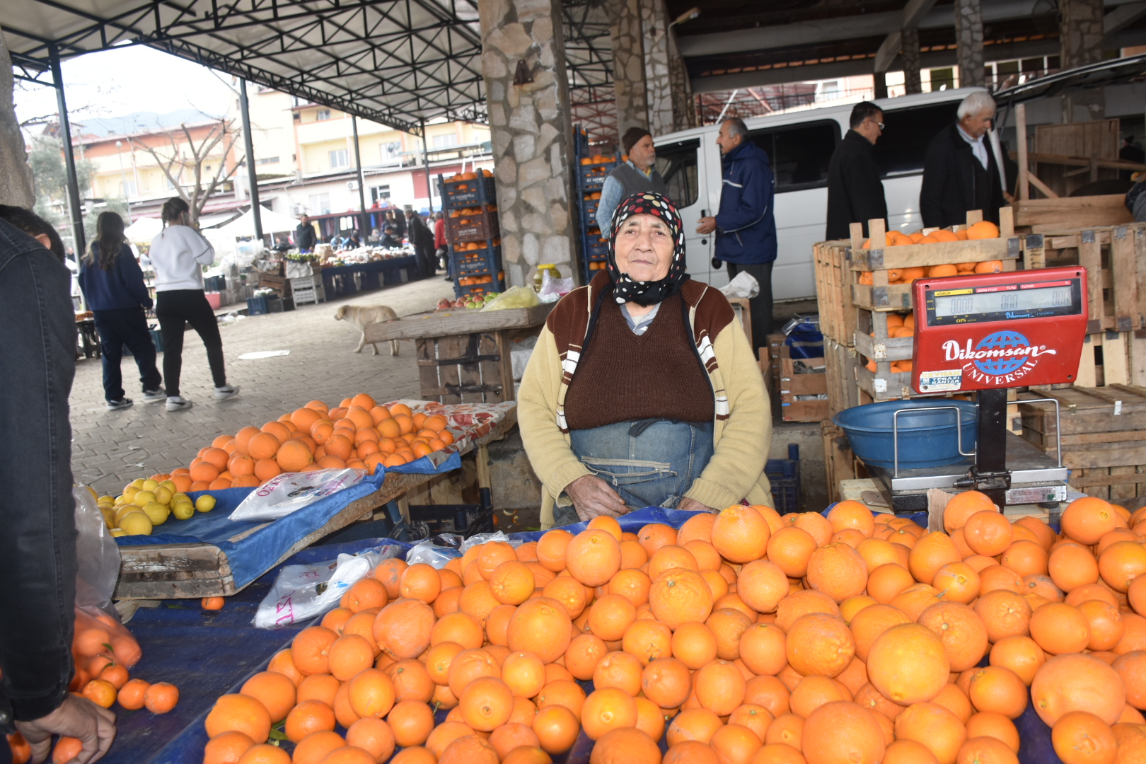 72 Yasindaki Pazarci Kanmaz Teyze Gencler Ellerinde Telefon Calismak Istemiyor 630891 489C1E80E88C57Fa44Fc678Eb457Cbd7