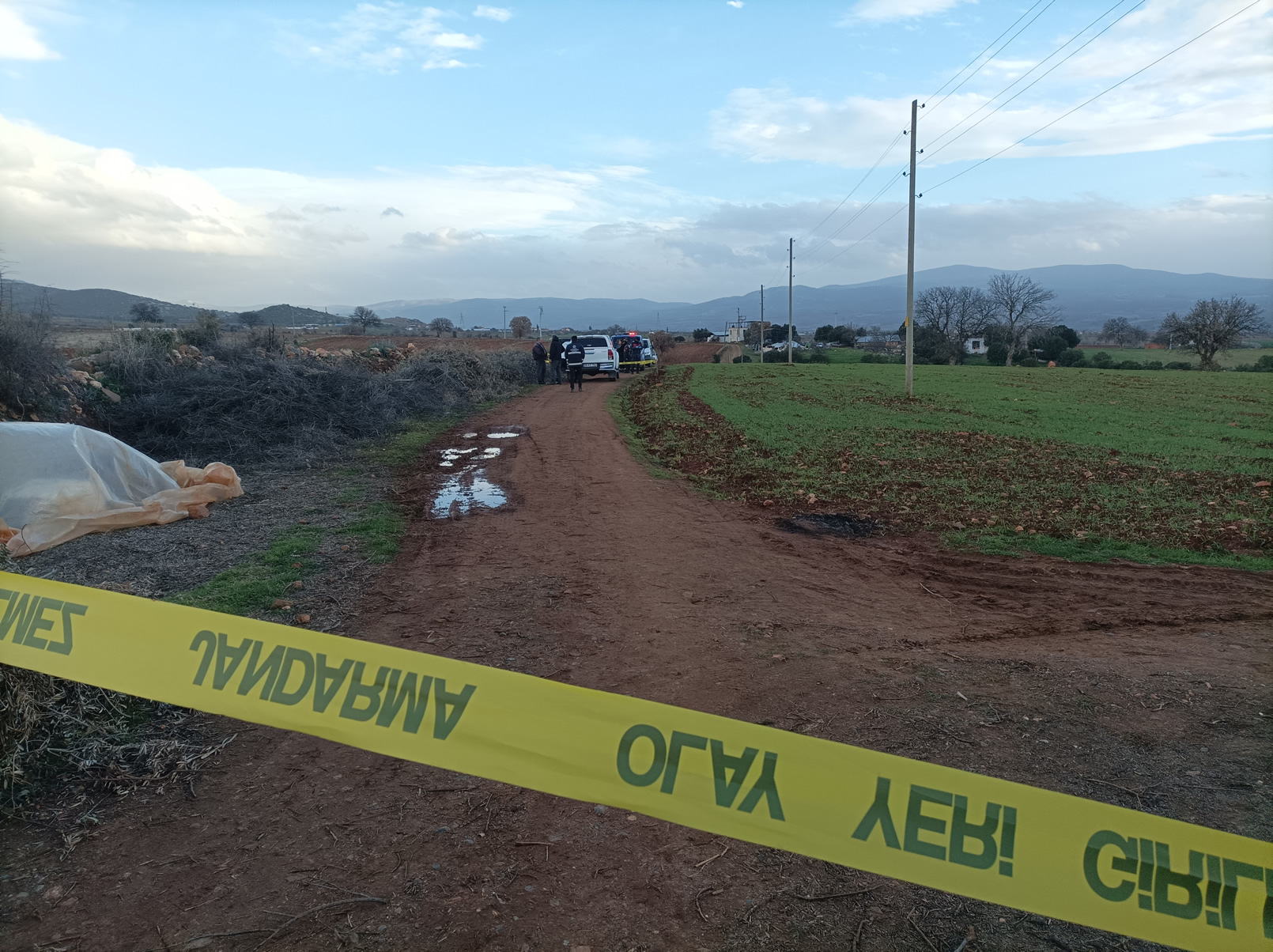 77 Yasinda Canina Kiydi 634484 Eb9C817146Facd22913649661A7564C5