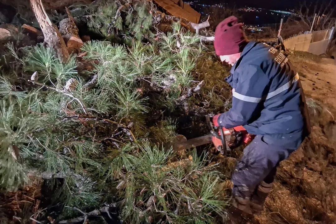 Aydinda Facia Son Anda Onlendi 628806 A74F0643A5390Fb3De4593Ccde723556