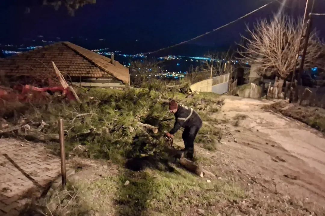 Aydinda Facia Son Anda Onlendi 628806 Ff5Aa7E8681988106D1D77Ae43573F7C