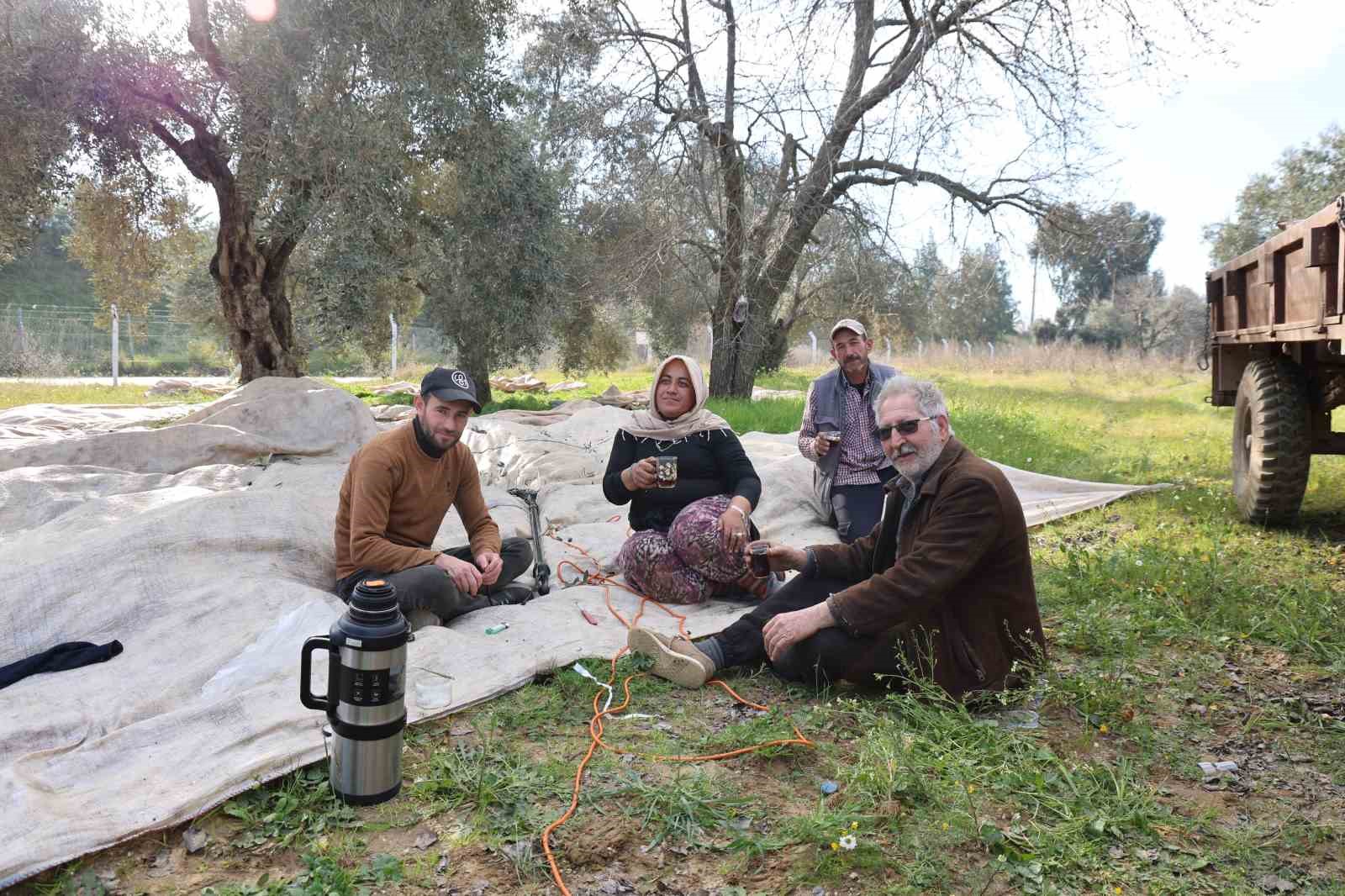 Aydinda Piknik Havasinda Zeytin Hasadi 3743Bb1Ae1C120Cc5168Ca7E9Ba1D9F3