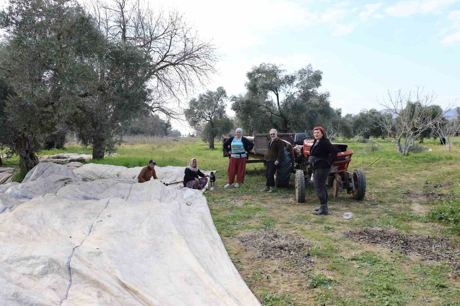 Aydinda Piknik Havasinda Zeytin Hasadi 7Ac35Df39C1A7B422C20Bb2Aed812Ba3