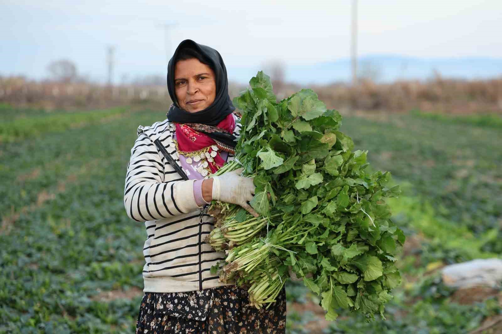 Aydinda Soguk Hava Sebzeyi Vurdu Tarlada Verim Dustu 0Bf7F93F950B60Eb45Efcc8Df7771205