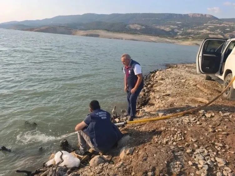 Aydinda Su Urunlerinde Rekor 630411 4281061E1B9620817B9E18B8A1983974