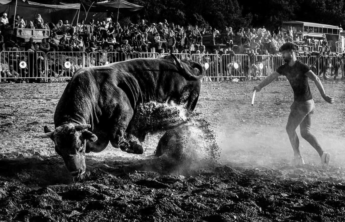 Aydinin Gorsel Hafizasi Kusadasinda Kendine Hayran Birakti 631120 94Bc6849E3Ce800643F2Be01B70Ee12B