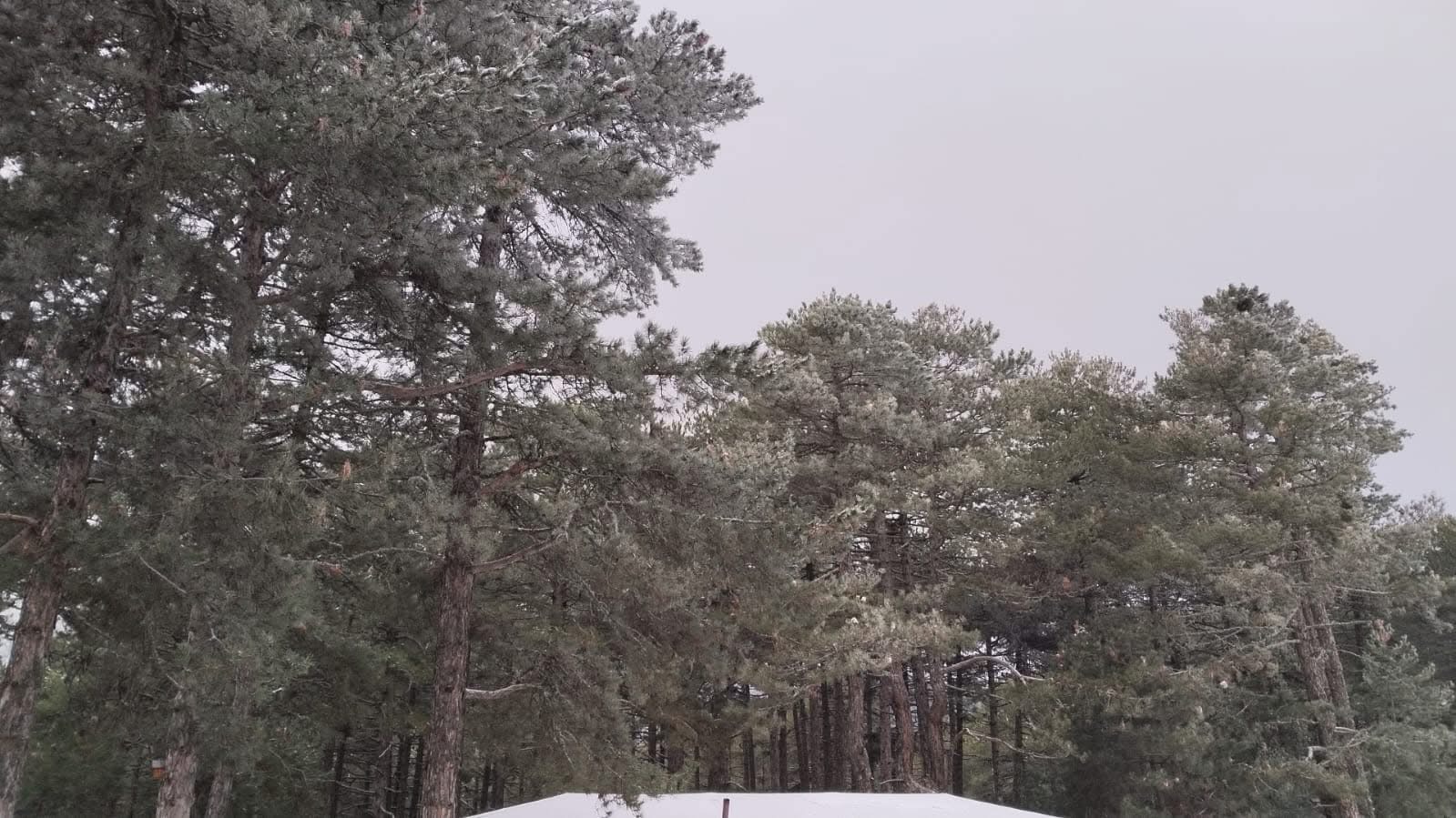 Baskan Dogancadan Davet Var Kuyucak Beyaza Burundu 629911 7Ab172F42E5945598422E004Ba55Cac0