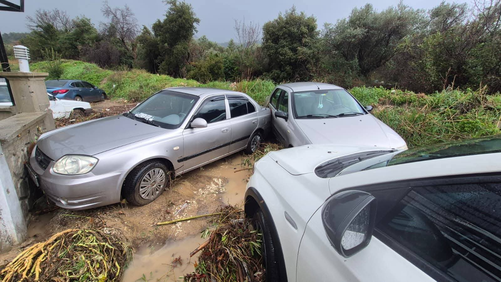 Davutlarda Balikci Tekneleri Sul