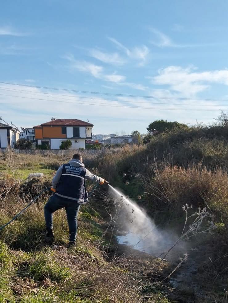 Didimde Halk Sagligi Icin Vektorler Karsi Mucadele 633714 56777Dbb6397C8F0D8A7F8Ca2C0Ad430