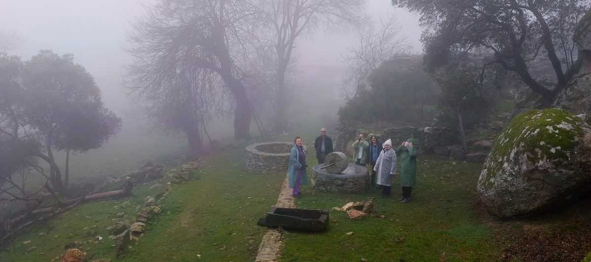 Dogaseverler Milasin Tarihi Yerlerini Gezdi 3680775D45852Df08C2F9D1B11C2C896